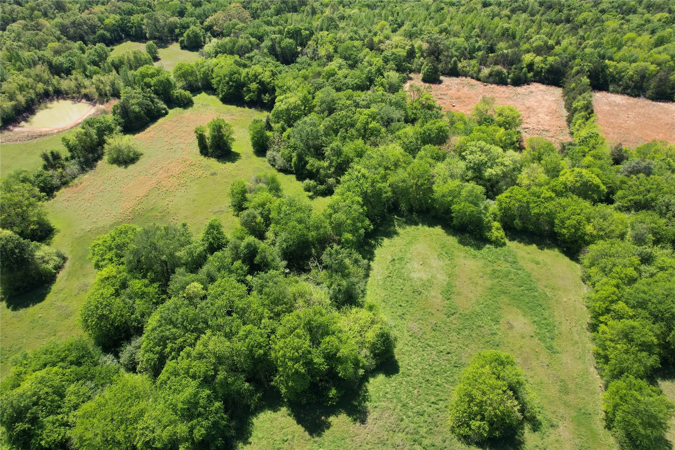 Ranch For Sale in Hopkins County , 2846 County Road 2415, Pickton, Texas 75471, 0, 0, Garage spaces, 0 Sqft, built in 0, Price $384,120, mls#21189481, Real Estate Agent in Pickton, Homes For Sale in Hopkins county, Homes For Sale in Pickton, Realtor in Pickton Texas, Real Estate Brokerage Independent Realty Texas, Luminita Cordes Realtor