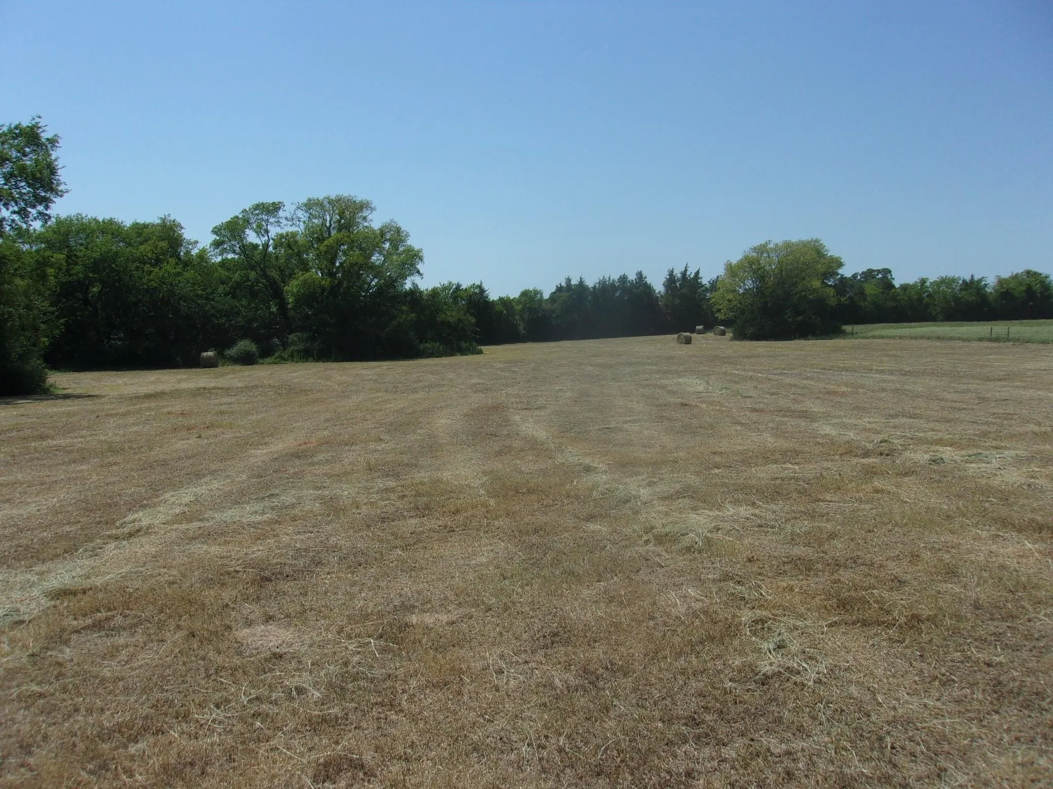 Ranch For Sale in Hopkins County , 2846 County Road 2415, Pickton, Texas 75471, 0, 0, Garage spaces, 0 Sqft, built in 0, Price $384,120, mls#21189481, Real Estate Agent in Pickton, Homes For Sale in Hopkins county, Homes For Sale in Pickton, Realtor in Pickton Texas, Real Estate Brokerage Independent Realty Texas, Luminita Cordes Realtor