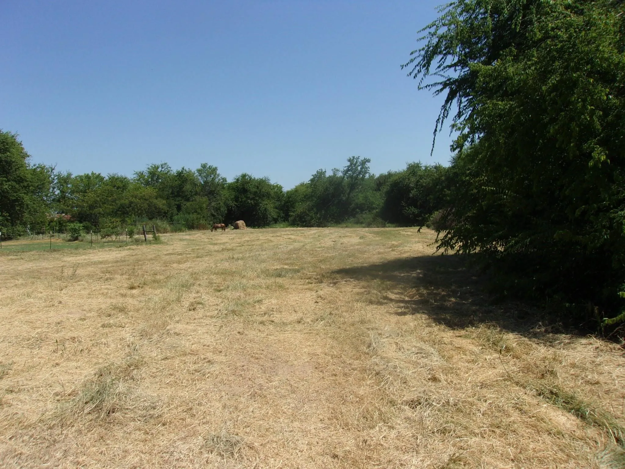 Ranch For Sale in Hopkins County , 2846 County Road 2415, Pickton, Texas 75471, 0, 0, Garage spaces, 0 Sqft, built in 0, Price $384,120, mls#21189481, Real Estate Agent in Pickton, Homes For Sale in Hopkins county, Homes For Sale in Pickton, Realtor in Pickton Texas, Real Estate Brokerage Independent Realty Texas, Luminita Cordes Realtor