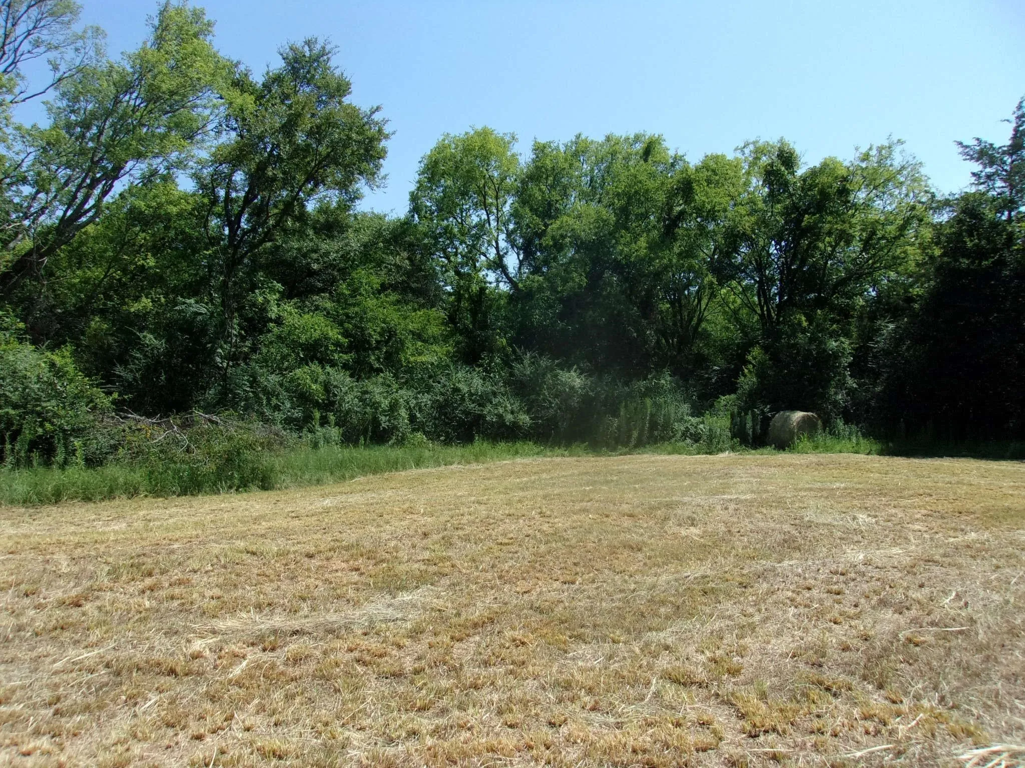 Ranch For Sale in Hopkins County , 2846 County Road 2415, Pickton, Texas 75471, 0, 0, Garage spaces, 0 Sqft, built in 0, Price $384,120, mls#21189481, Real Estate Agent in Pickton, Homes For Sale in Hopkins county, Homes For Sale in Pickton, Realtor in Pickton Texas, Real Estate Brokerage Independent Realty Texas, Luminita Cordes Realtor