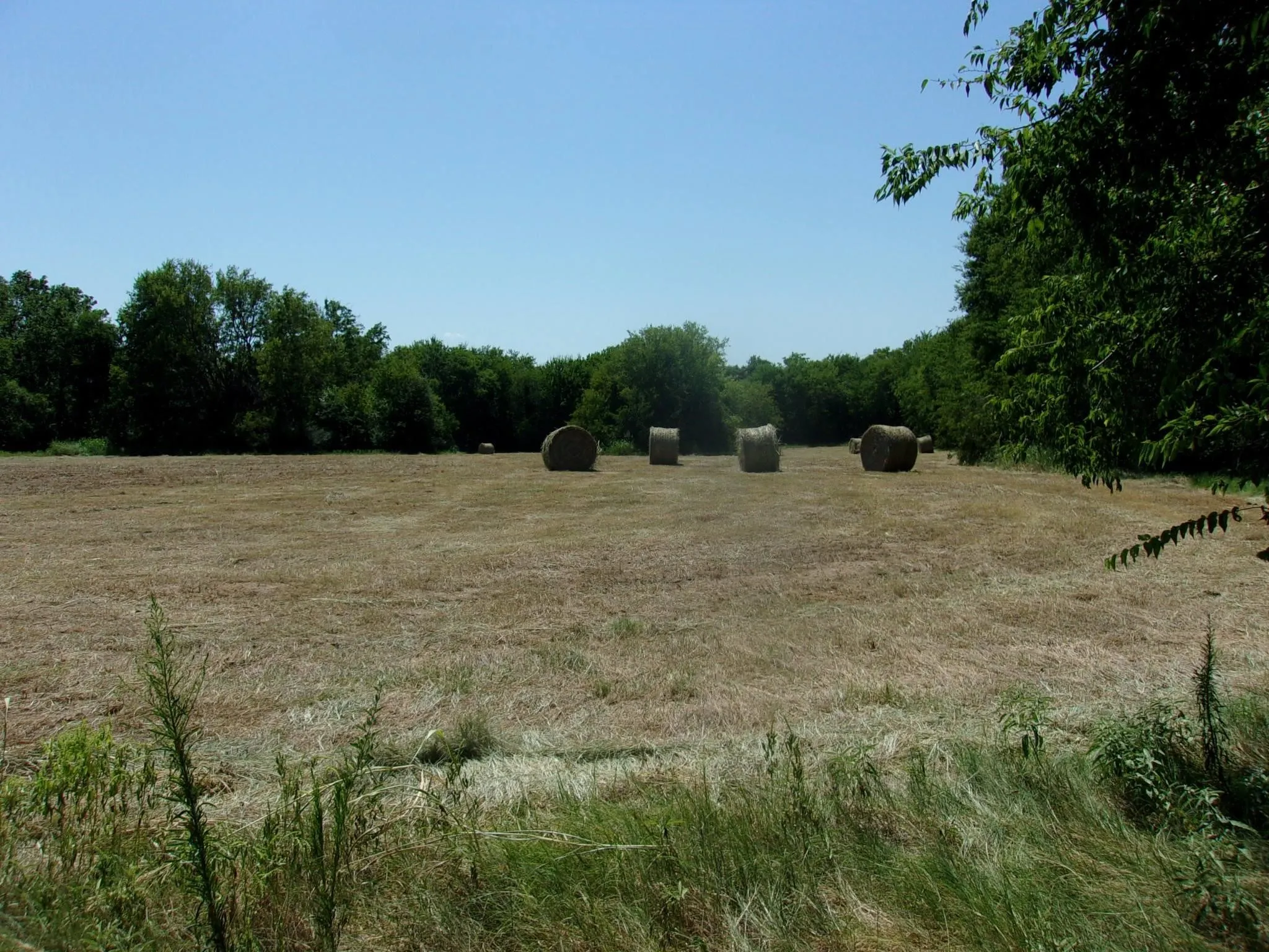 Ranch For Sale in Hopkins County , 2846 County Road 2415, Pickton, Texas 75471, 0, 0, Garage spaces, 0 Sqft, built in 0, Price $384,120, mls#21189481, Real Estate Agent in Pickton, Homes For Sale in Hopkins county, Homes For Sale in Pickton, Realtor in Pickton Texas, Real Estate Brokerage Independent Realty Texas, Luminita Cordes Realtor