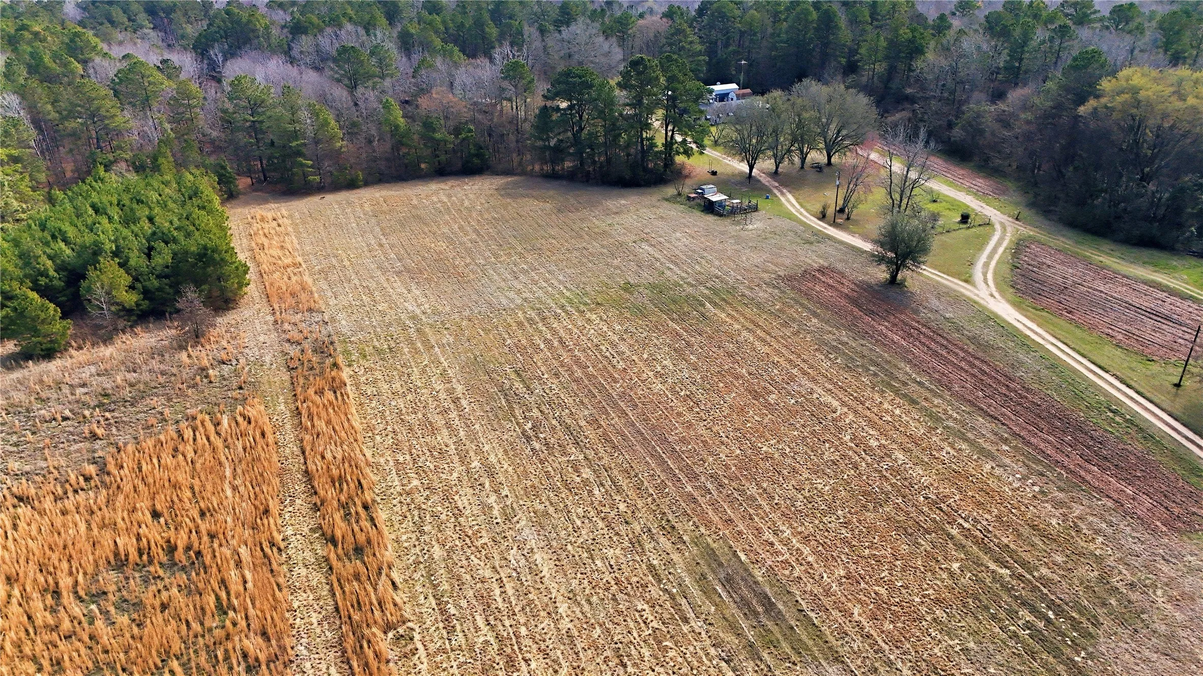 Unimproved Land For Sale in Smith County , 20524 County Road 4129, Lindale, Texas 75771, 0, 0, Garage spaces, 0 Sqft, built in 0, Price $150,000, mls#21188850, Real Estate Agent in Lindale, Homes For Sale in Smith county, Homes For Sale in Lindale, Realtor in Lindale Texas, Real Estate Brokerage Independent Realty Texas, Luminita Cordes Realtor