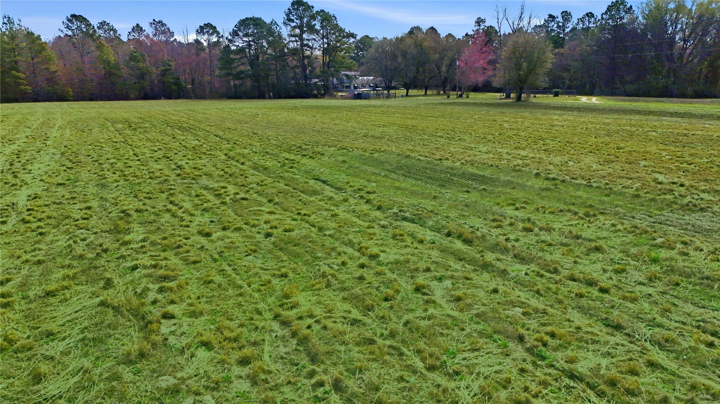 Unimproved Land For Sale in Smith County , 20524 County Road 4129, Lindale, Texas 75771, 0, 0, Garage spaces, 0 Sqft, built in 0, Price $150,000, mls#21188850, Real Estate Agent in Lindale, Homes For Sale in Smith county, Homes For Sale in Lindale, Realtor in Lindale Texas, Real Estate Brokerage Independent Realty Texas, Luminita Cordes Realtor