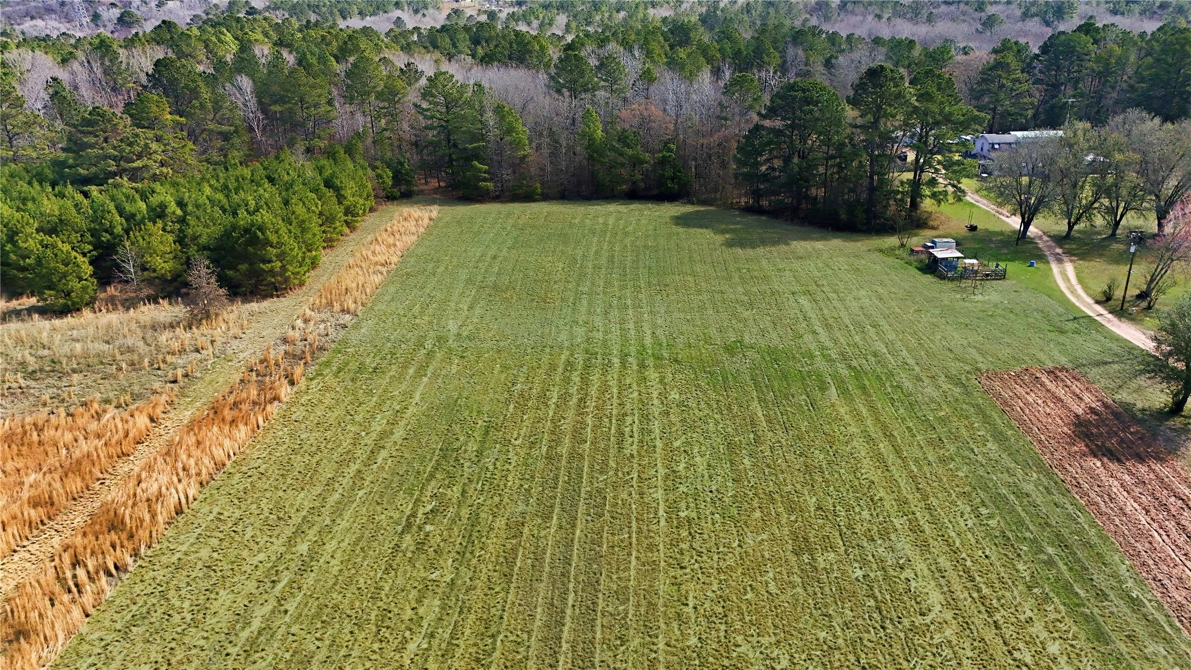 Unimproved Land For Sale in Smith County , 20524 County Road 4129, Lindale, Texas 75771, 0, 0, Garage spaces, 0 Sqft, built in 0, Price $150,000, mls#21188850, Real Estate Agent in Lindale, Homes For Sale in Smith county, Homes For Sale in Lindale, Realtor in Lindale Texas, Real Estate Brokerage Independent Realty Texas, Luminita Cordes Realtor