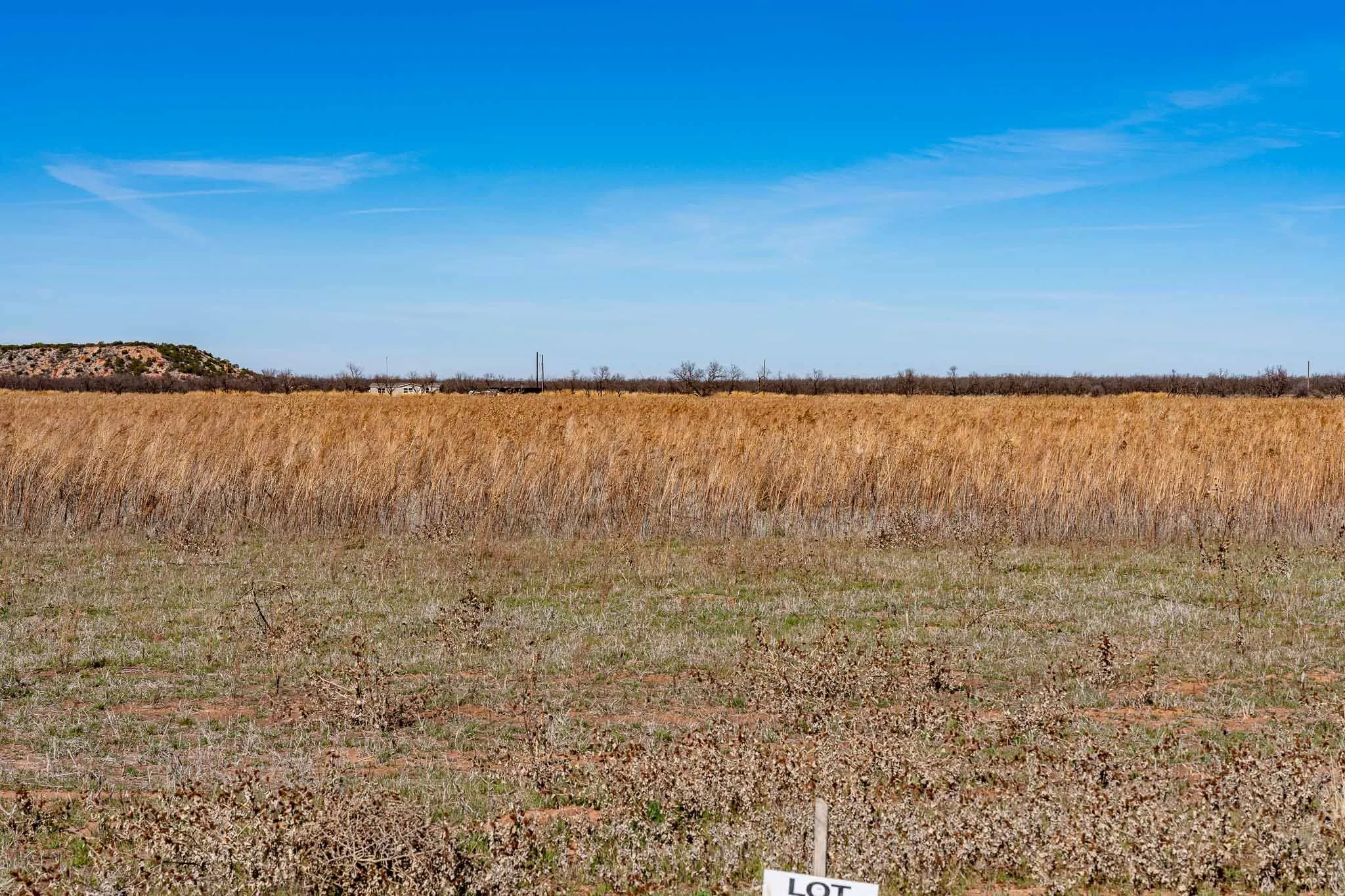 Unimproved Land For Sale in Taylor County , TRACT 35 982 Derstine Road, Merkel, Texas 79536, 0, 0, Garage spaces, 0 Sqft, built in 0, mls#21189741, Real Estate Agent in Merkel, Homes For Sale in Taylor county, Homes For Sale in Merkel, Realtor in Merkel Texas, Real Estate Brokerage Independent Realty Texas, Luminita Cordes Realtor