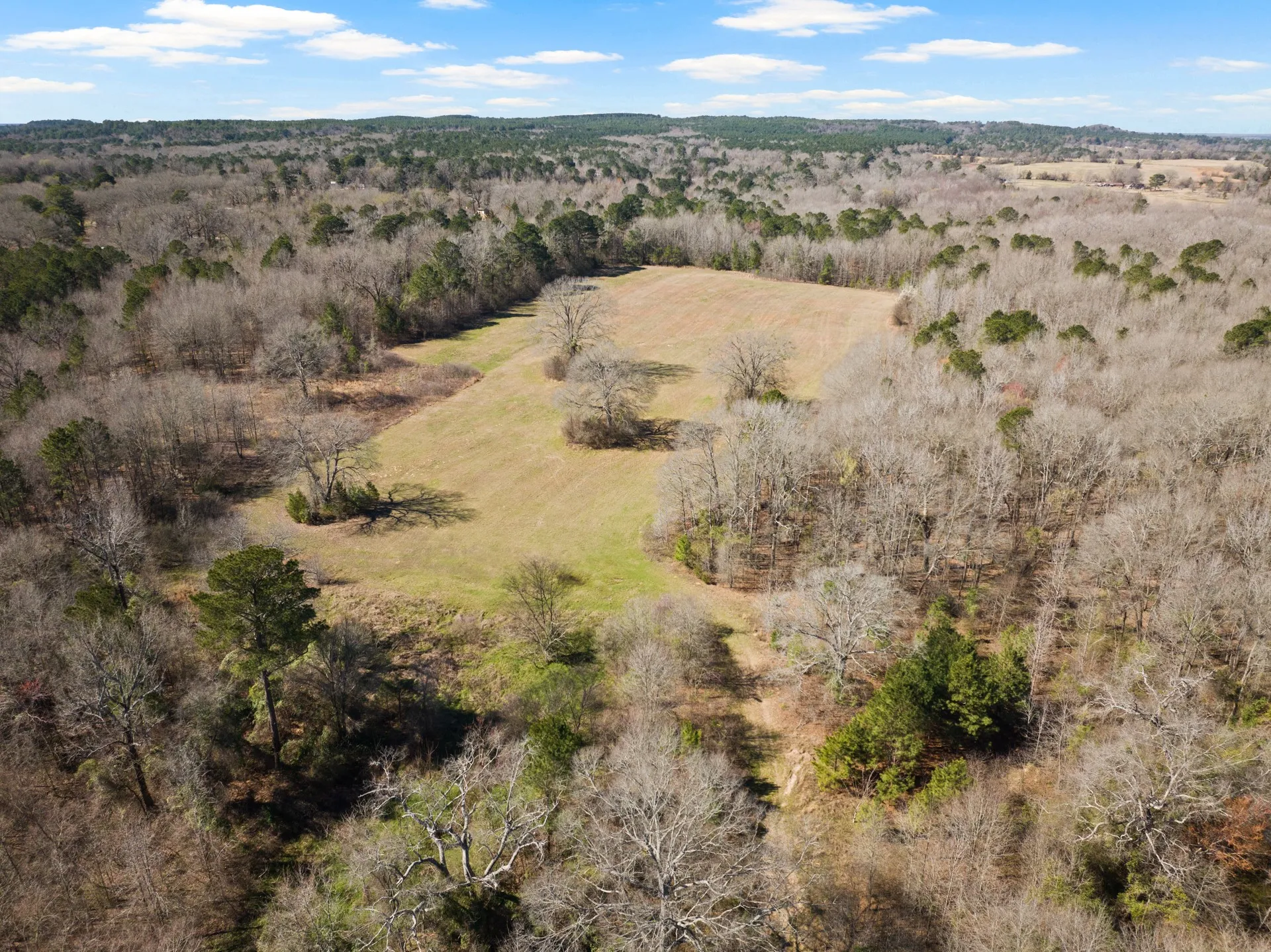Unimproved Land For Sale in Morris County , TBD Nix Street, Daingerfield, Texas 75638, 0, 0, Garage spaces, 0 Sqft, built in 0, Price $671,500, mls#21189773, Real Estate Agent in Daingerfield, Homes For Sale in Morris county, Homes For Sale in Daingerfield, Realtor in Daingerfield Texas, Real Estate Brokerage Independent Realty Texas, Luminita Cordes Realtor