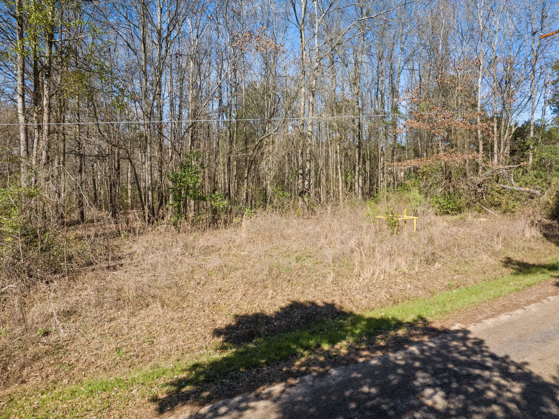 Unimproved Land For Sale in Morris County , TBD Nix Street, Daingerfield, Texas 75638, 0, 0, Garage spaces, 0 Sqft, built in 0, Price $671,500, mls#21189773, Real Estate Agent in Daingerfield, Homes For Sale in Morris county, Homes For Sale in Daingerfield, Realtor in Daingerfield Texas, Real Estate Brokerage Independent Realty Texas, Luminita Cordes Realtor