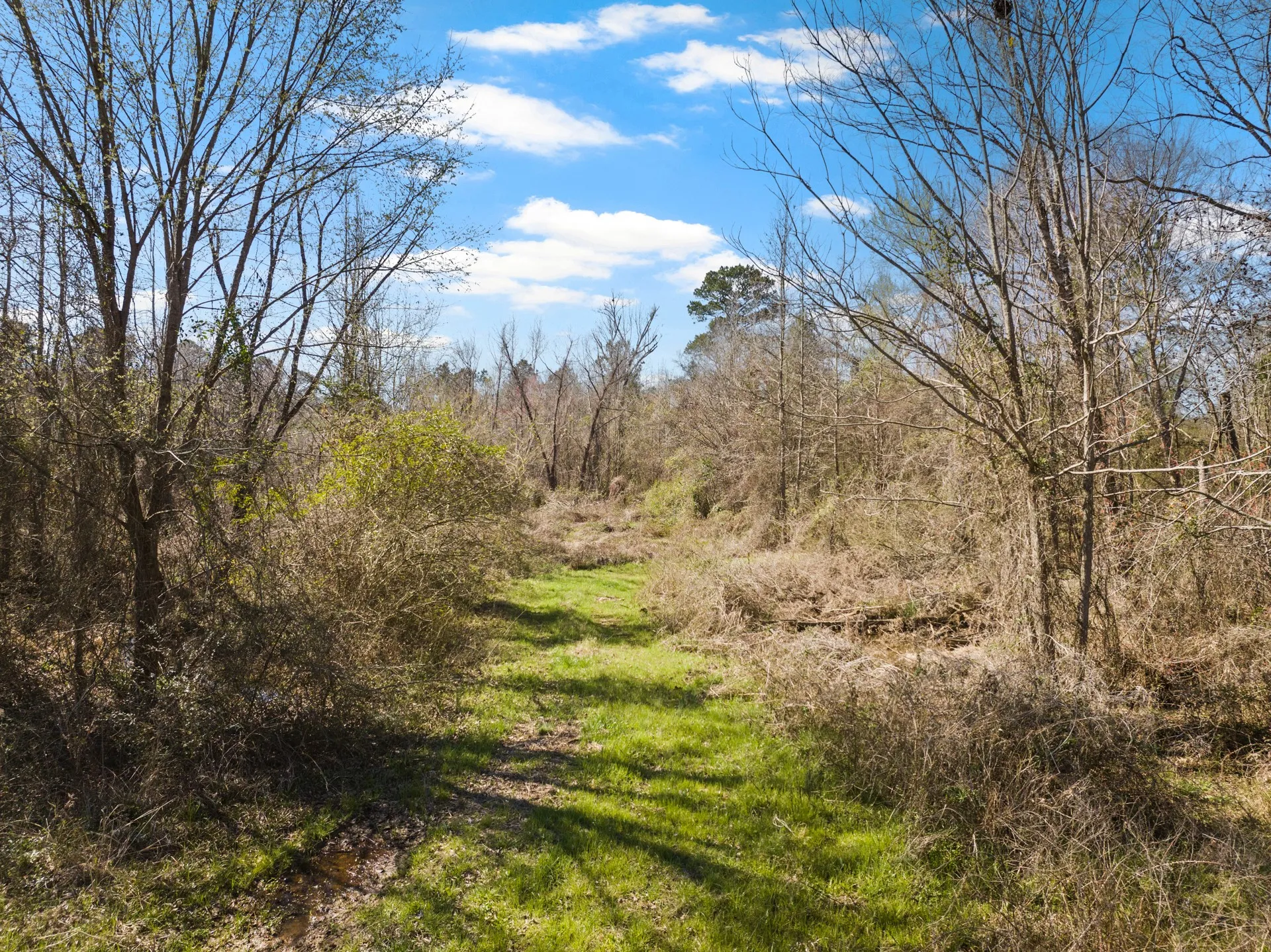 Unimproved Land For Sale in Morris County , TBD Nix Street, Daingerfield, Texas 75638, 0, 0, Garage spaces, 0 Sqft, built in 0, Price $671,500, mls#21189773, Real Estate Agent in Daingerfield, Homes For Sale in Morris county, Homes For Sale in Daingerfield, Realtor in Daingerfield Texas, Real Estate Brokerage Independent Realty Texas, Luminita Cordes Realtor