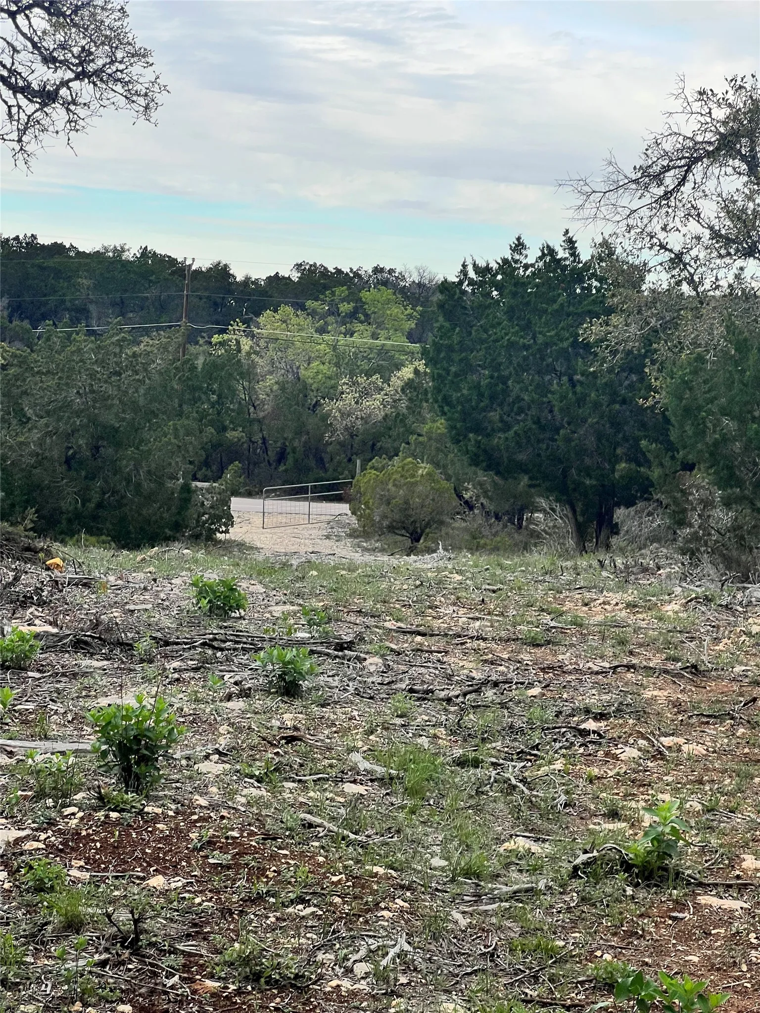 Unimproved Land For Sale in Travis County , TBD Tyler Trail, Leander, Texas 78645, 0, 0, Garage spaces, 0 Sqft, built in 2018, Preowned, mls#21189763, Real Estate Agent in Leander, Homes For Sale in Travis county, Homes For Sale in Leander, Realtor in Leander Texas, Real Estate Brokerage Independent Realty Texas, Luminita Cordes Realtor