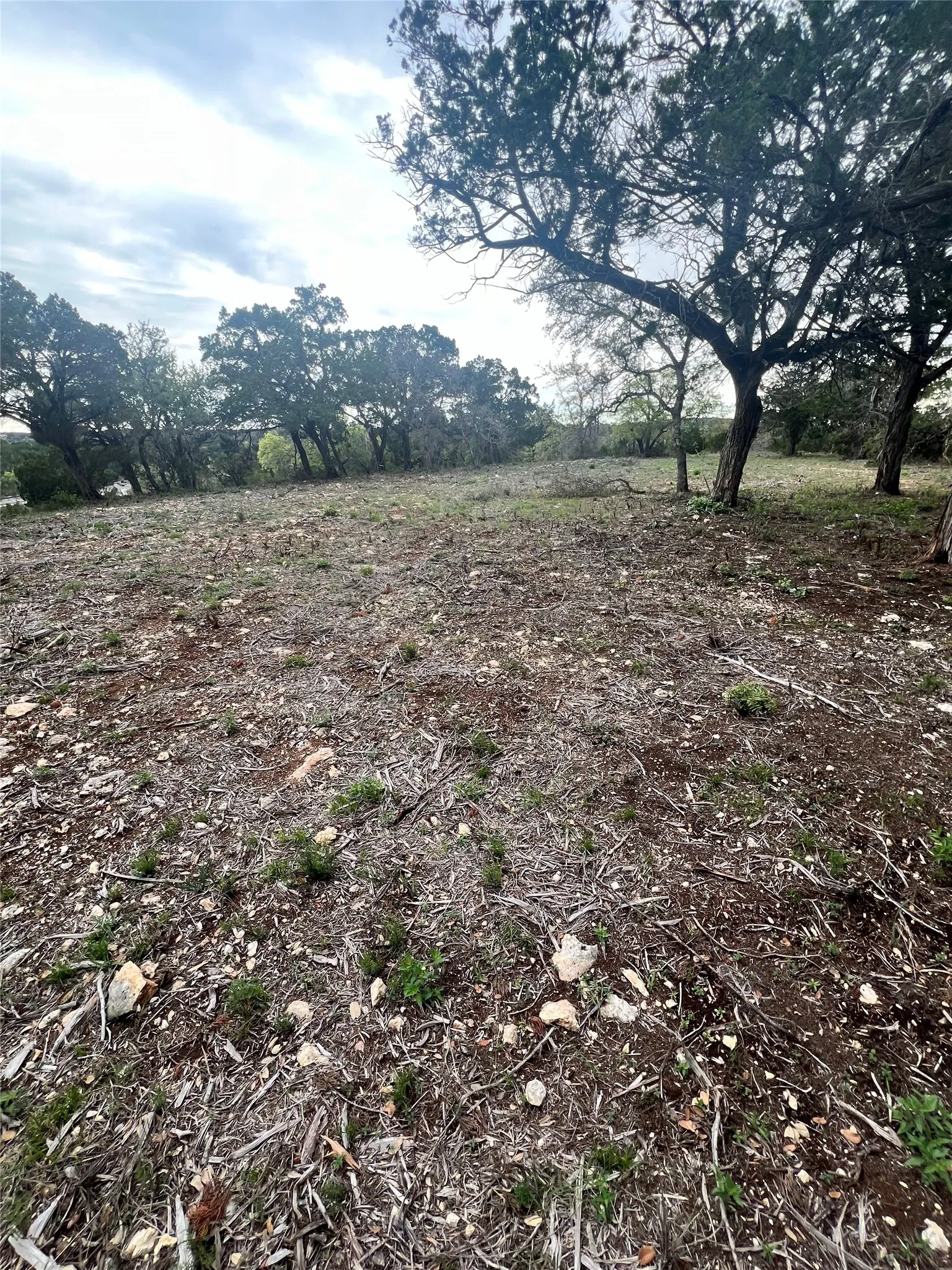 Unimproved Land For Sale in Travis County , TBD Tyler Trail, Leander, Texas 78645, 0, 0, Garage spaces, 0 Sqft, built in 2018, Preowned, mls#21189763, Real Estate Agent in Leander, Homes For Sale in Travis county, Homes For Sale in Leander, Realtor in Leander Texas, Real Estate Brokerage Independent Realty Texas, Luminita Cordes Realtor