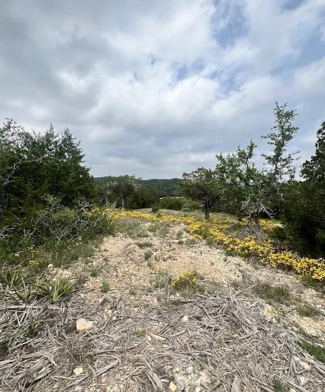 Unimproved Land For Sale in Travis County , TBD Tyler Trail, Leander, Texas 78645, 0, 0, Garage spaces, 0 Sqft, built in 2018, Preowned, mls#21189763, Real Estate Agent in Leander, Homes For Sale in Travis county, Homes For Sale in Leander, Realtor in Leander Texas, Real Estate Brokerage Independent Realty Texas, Luminita Cordes Realtor