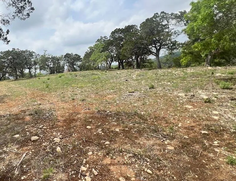 Unimproved Land For Sale in Travis County , TBD Tyler Trail, Leander, Texas 78645, 0, 0, Garage spaces, 0 Sqft, built in 2018, Preowned, mls#21189763, Real Estate Agent in Leander, Homes For Sale in Travis county, Homes For Sale in Leander, Realtor in Leander Texas, Real Estate Brokerage Independent Realty Texas, Luminita Cordes Realtor