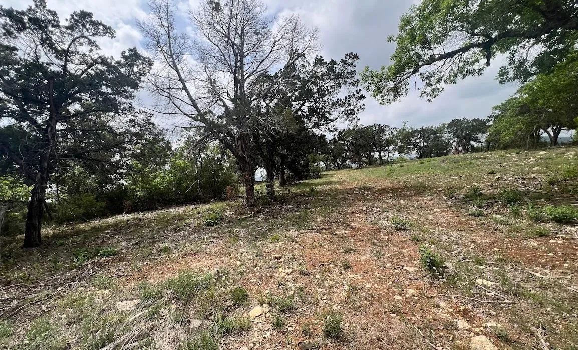 Unimproved Land For Sale in Travis County , TBD Tyler Trail, Leander, Texas 78645, 0, 0, Garage spaces, 0 Sqft, built in 2018, Preowned, mls#21189763, Real Estate Agent in Leander, Homes For Sale in Travis county, Homes For Sale in Leander, Realtor in Leander Texas, Real Estate Brokerage Independent Realty Texas, Luminita Cordes Realtor