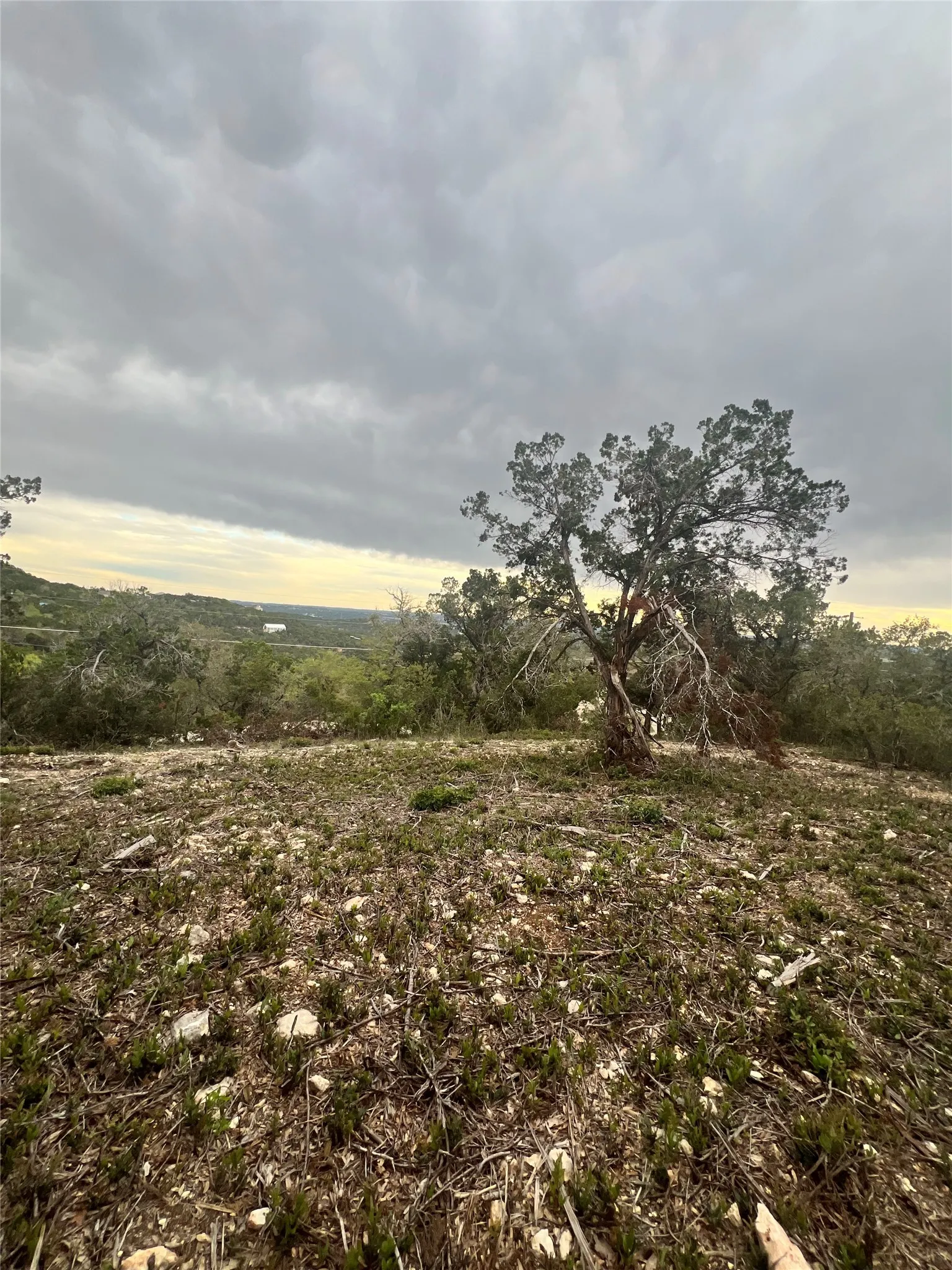 Unimproved Land For Sale in Travis County , TBD Tyler Trail, Leander, Texas 78645, 0, 0, Garage spaces, 0 Sqft, built in 2018, Preowned, mls#21189763, Real Estate Agent in Leander, Homes For Sale in Travis county, Homes For Sale in Leander, Realtor in Leander Texas, Real Estate Brokerage Independent Realty Texas, Luminita Cordes Realtor