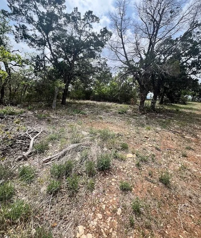 Unimproved Land For Sale in Travis County , TBD Tyler Trail, Leander, Texas 78645, 0, 0, Garage spaces, 0 Sqft, built in 2018, Preowned, mls#21189763, Real Estate Agent in Leander, Homes For Sale in Travis county, Homes For Sale in Leander, Realtor in Leander Texas, Real Estate Brokerage Independent Realty Texas, Luminita Cordes Realtor