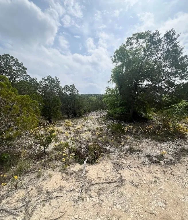 Unimproved Land For Sale in Travis County , TBD Tyler Trail, Leander, Texas 78645, 0, 0, Garage spaces, 0 Sqft, built in 2018, Preowned, mls#21189763, Real Estate Agent in Leander, Homes For Sale in Travis county, Homes For Sale in Leander, Realtor in Leander Texas, Real Estate Brokerage Independent Realty Texas, Luminita Cordes Realtor