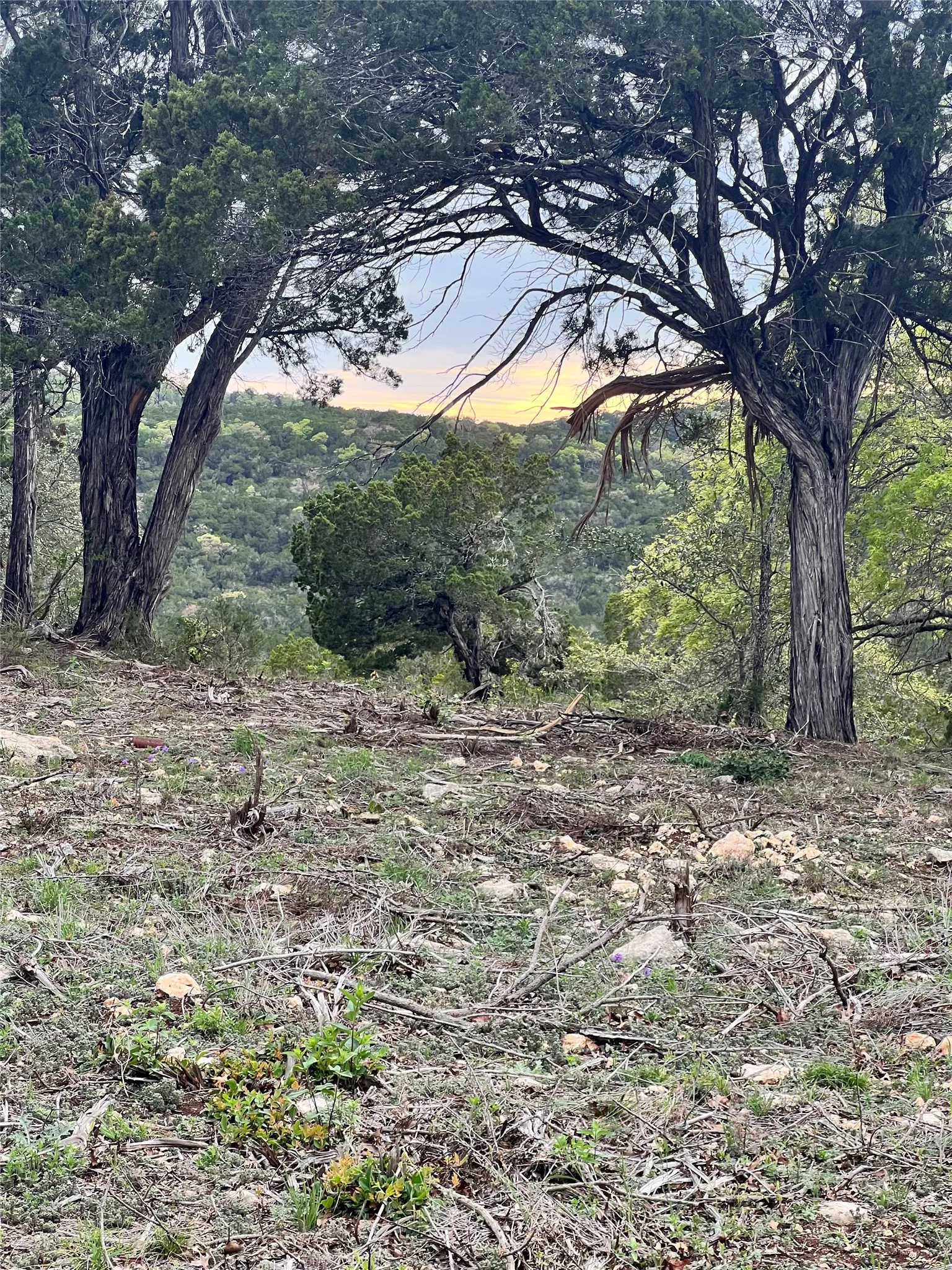 Unimproved Land For Sale in Travis County , TBD Tyler Trail, Leander, Texas 78645, 0, 0, Garage spaces, 0 Sqft, built in 2018, Preowned, mls#21189763, Real Estate Agent in Leander, Homes For Sale in Travis county, Homes For Sale in Leander, Realtor in Leander Texas, Real Estate Brokerage Independent Realty Texas, Luminita Cordes Realtor