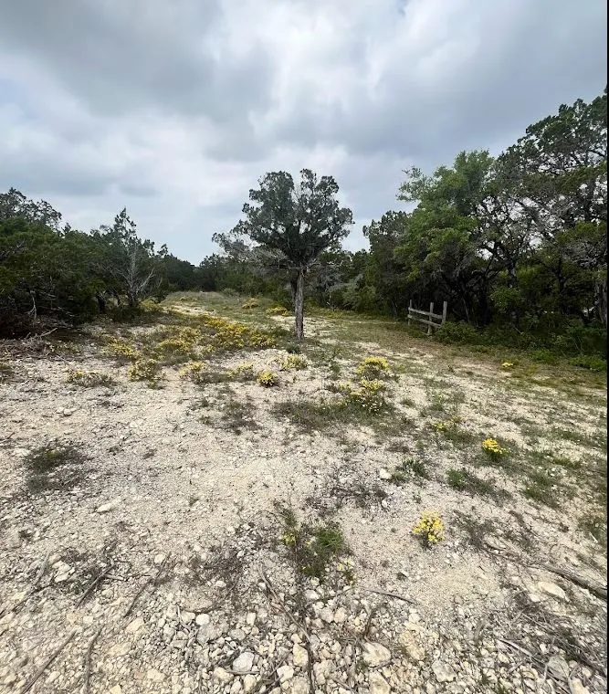Unimproved Land For Sale in Travis County , TBD Tyler Trail, Leander, Texas 78645, 0, 0, Garage spaces, 0 Sqft, built in 2018, Preowned, mls#21189763, Real Estate Agent in Leander, Homes For Sale in Travis county, Homes For Sale in Leander, Realtor in Leander Texas, Real Estate Brokerage Independent Realty Texas, Luminita Cordes Realtor