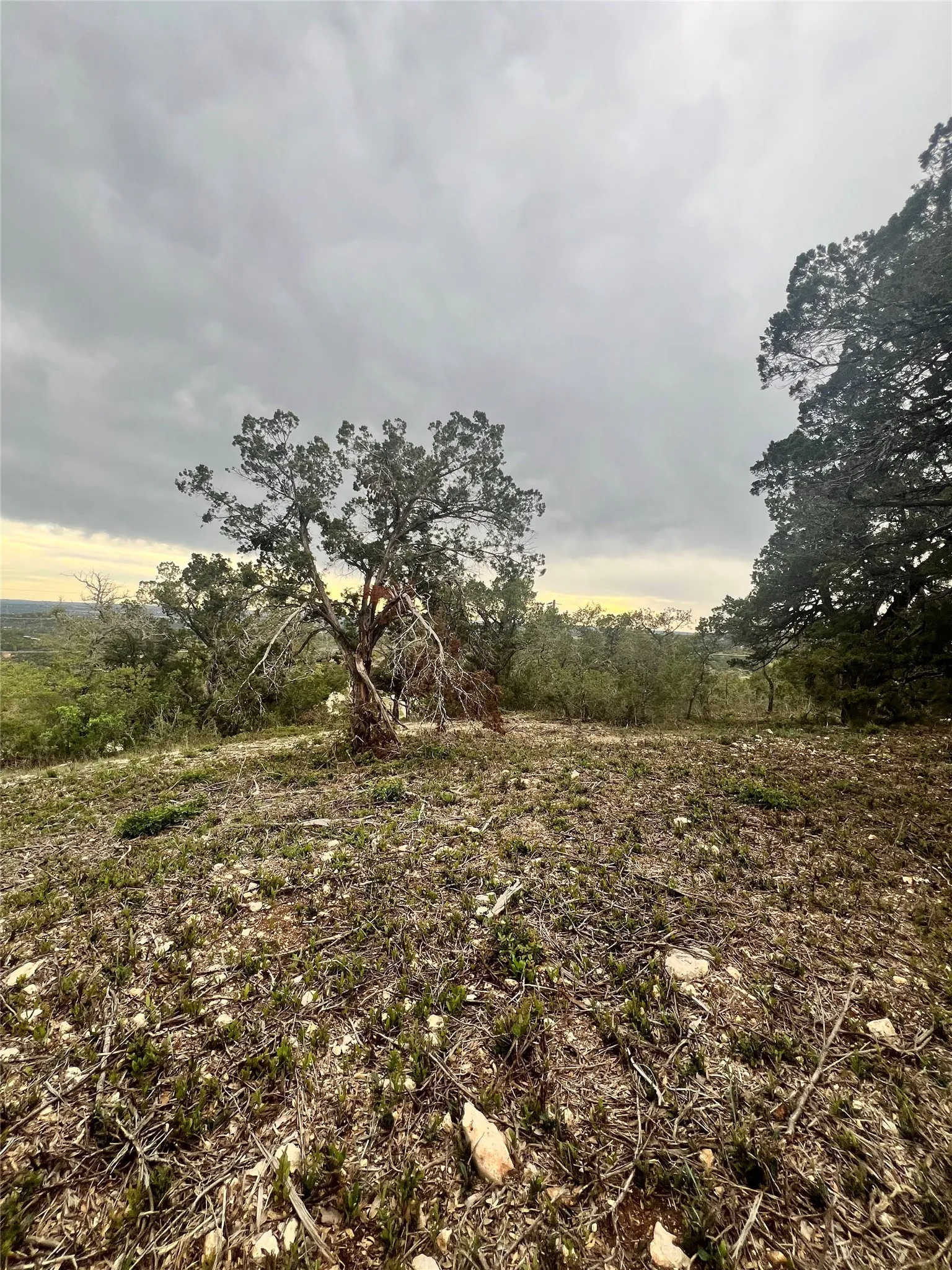 Unimproved Land For Sale in Travis County , 19705 Tyler Trail, Leander, Texas 78645, 0, 0, Garage spaces, 0 Sqft, built in 2018, Price $5,000,000, mls#21188598, Real Estate Agent in Leander, Homes For Sale in Travis county, Homes For Sale in Leander, Realtor in Leander Texas, Real Estate Brokerage Independent Realty Texas, Luminita Cordes Realtor
