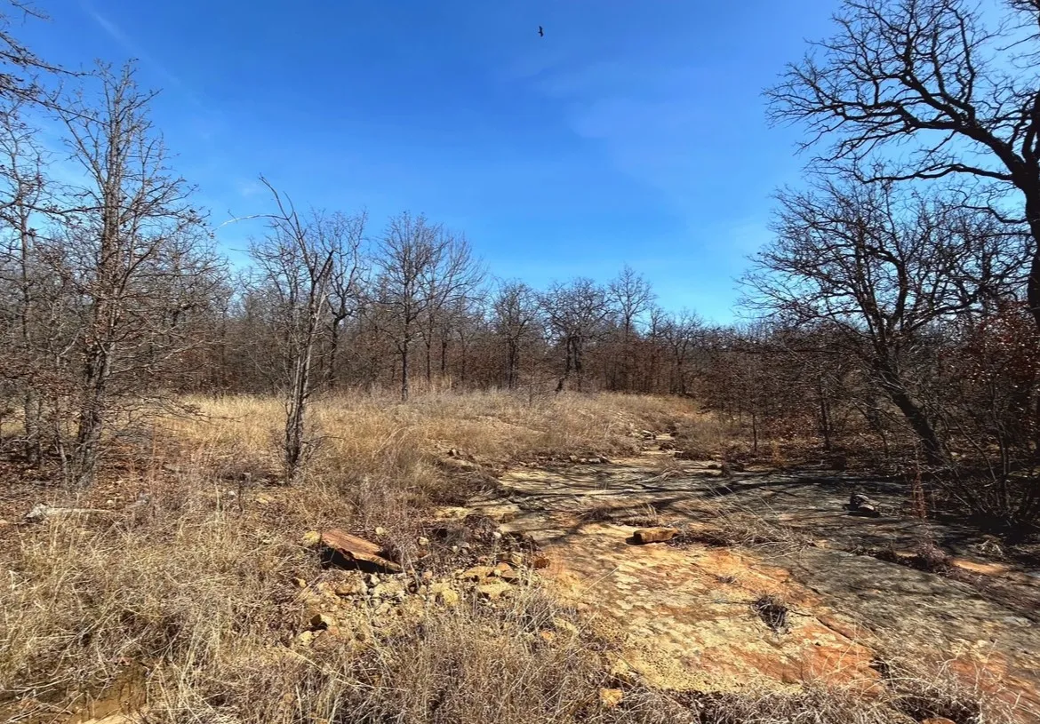 Unimproved Land For Sale in Wise County , 0000 Sunset Bay Pointe Court, Chico, Texas 76431, 0, 0, Garage spaces, 0 Sqft, built in 0, mls#21189940, Real Estate Agent in Chico, Homes For Sale in Wise county, Homes For Sale in Chico, Realtor in Chico Texas, Real Estate Brokerage Independent Realty Texas, Luminita Cordes Realtor