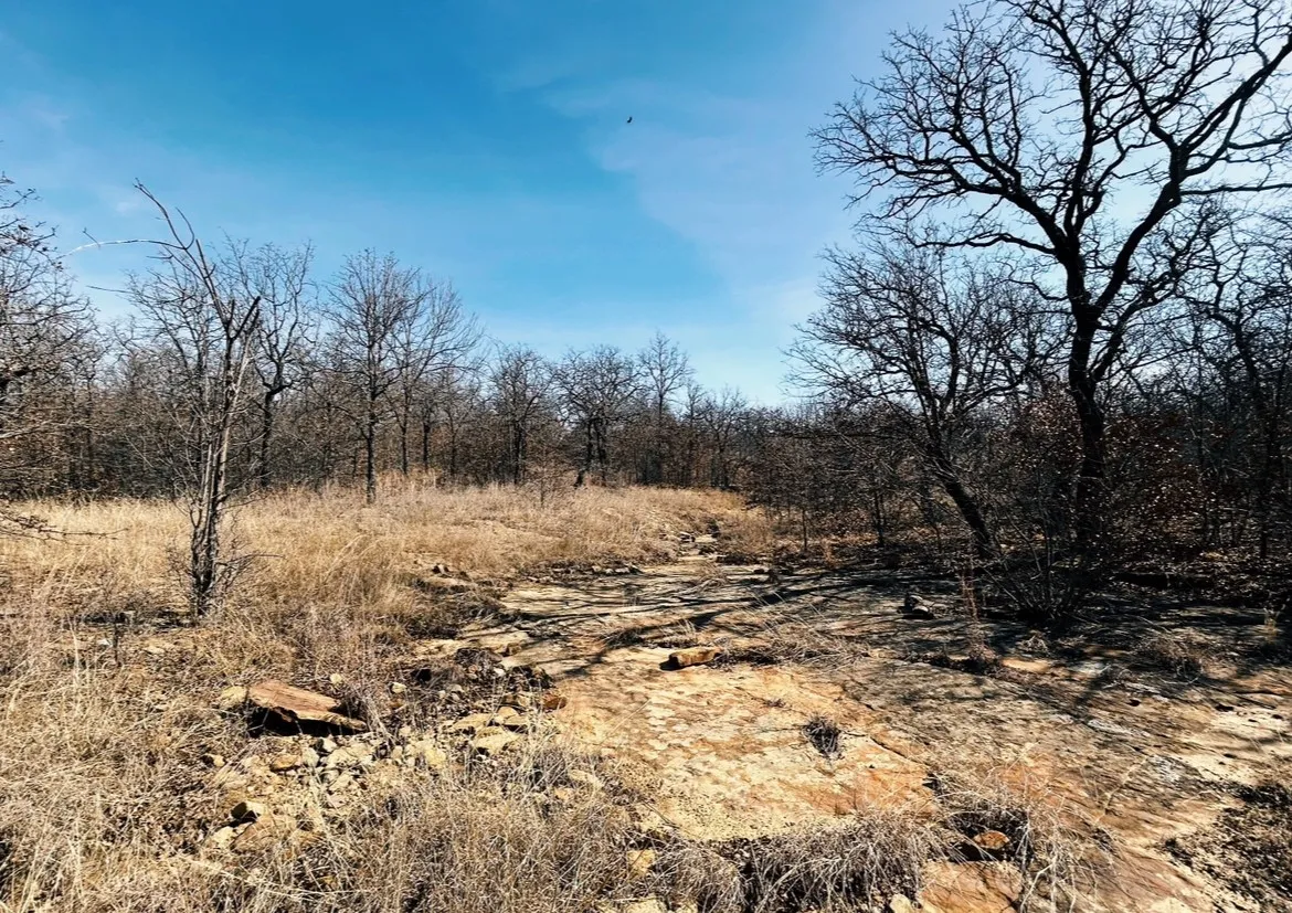 Unimproved Land For Sale in Wise County , 0000 Sunset Bay Pointe Court, Chico, Texas 76431, 0, 0, Garage spaces, 0 Sqft, built in 0, mls#21189940, Real Estate Agent in Chico, Homes For Sale in Wise county, Homes For Sale in Chico, Realtor in Chico Texas, Real Estate Brokerage Independent Realty Texas, Luminita Cordes Realtor