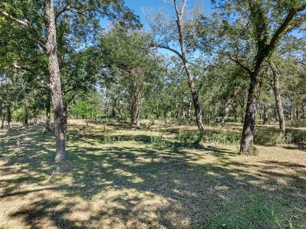 Ranch For Sale in Gonzales County , 5201 US Highway 90A W, Gonzales, Texas 78629, 0, 0, Garage spaces, 0 Sqft, built in 0, mls#21189956, Real Estate Agent in Gonzales, Homes For Sale in Gonzales county, Homes For Sale in Gonzales, Realtor in Gonzales Texas, Real Estate Brokerage Independent Realty Texas, Luminita Cordes Realtor