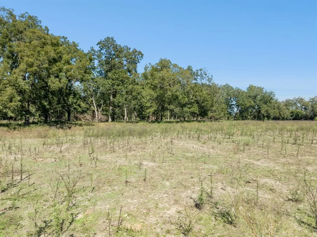 Ranch For Sale in Gonzales County , 5201 US Highway 90A W, Gonzales, Texas 78629, 0, 0, Garage spaces, 0 Sqft, built in 0, mls#21189956, Real Estate Agent in Gonzales, Homes For Sale in Gonzales county, Homes For Sale in Gonzales, Realtor in Gonzales Texas, Real Estate Brokerage Independent Realty Texas, Luminita Cordes Realtor