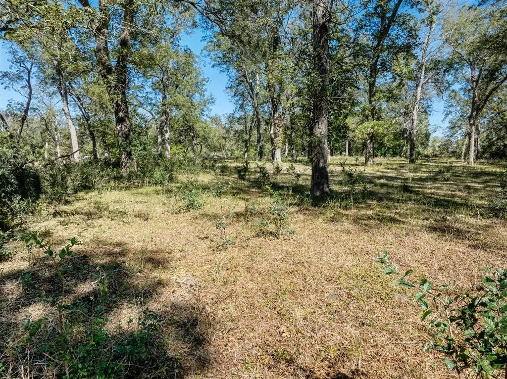 Ranch For Sale in Gonzales County , 5201 US Highway 90A W, Gonzales, Texas 78629, 0, 0, Garage spaces, 0 Sqft, built in 0, mls#21189956, Real Estate Agent in Gonzales, Homes For Sale in Gonzales county, Homes For Sale in Gonzales, Realtor in Gonzales Texas, Real Estate Brokerage Independent Realty Texas, Luminita Cordes Realtor