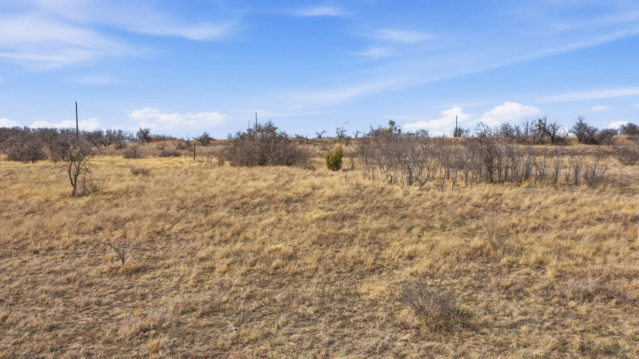 Unimproved Land For Sale in Comanche County , Lot 44 County Road 266, Gustine, Texas 76455, 0, 0, Garage spaces, 0 Sqft, built in 0, mls#21190024, Real Estate Agent in Gustine, Homes For Sale in Comanche county, Homes For Sale in Gustine, Realtor in Gustine Texas, Real Estate Brokerage Independent Realty Texas, Luminita Cordes Realtor