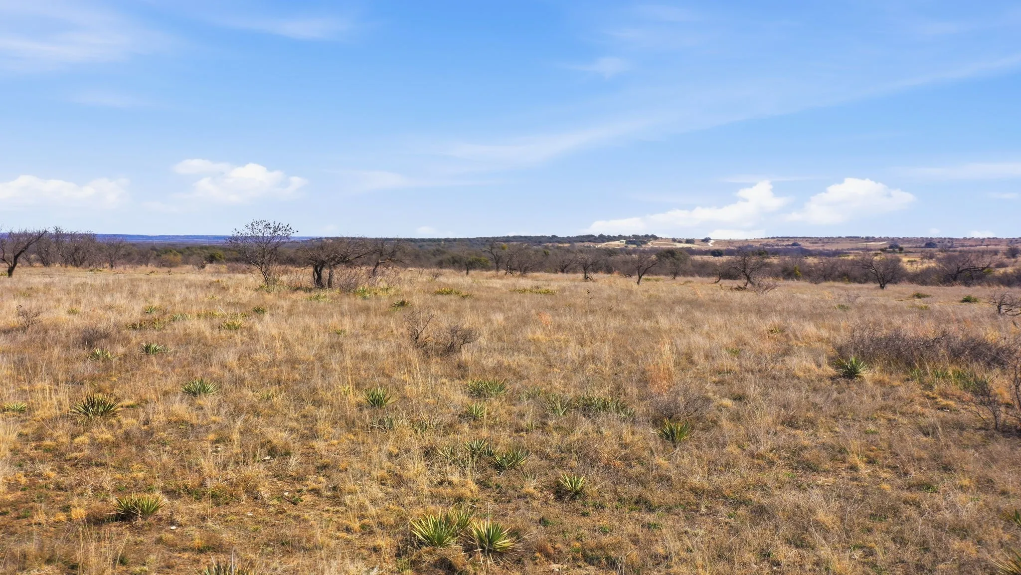 Unimproved Land For Sale in Comanche County , Lot 44 County Road 266, Gustine, Texas 76455, 0, 0, Garage spaces, 0 Sqft, built in 0, mls#21190024, Real Estate Agent in Gustine, Homes For Sale in Comanche county, Homes For Sale in Gustine, Realtor in Gustine Texas, Real Estate Brokerage Independent Realty Texas, Luminita Cordes Realtor