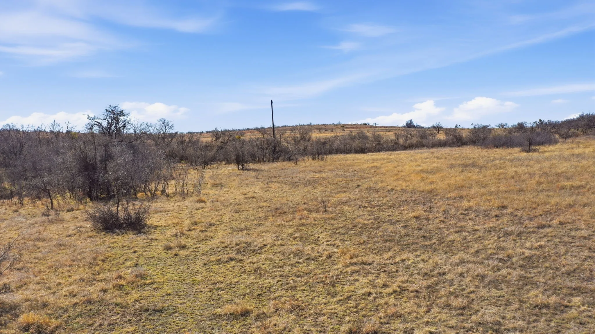 Unimproved Land For Sale in Comanche County , Lot 44 County Road 266, Gustine, Texas 76455, 0, 0, Garage spaces, 0 Sqft, built in 0, mls#21190024, Real Estate Agent in Gustine, Homes For Sale in Comanche county, Homes For Sale in Gustine, Realtor in Gustine Texas, Real Estate Brokerage Independent Realty Texas, Luminita Cordes Realtor