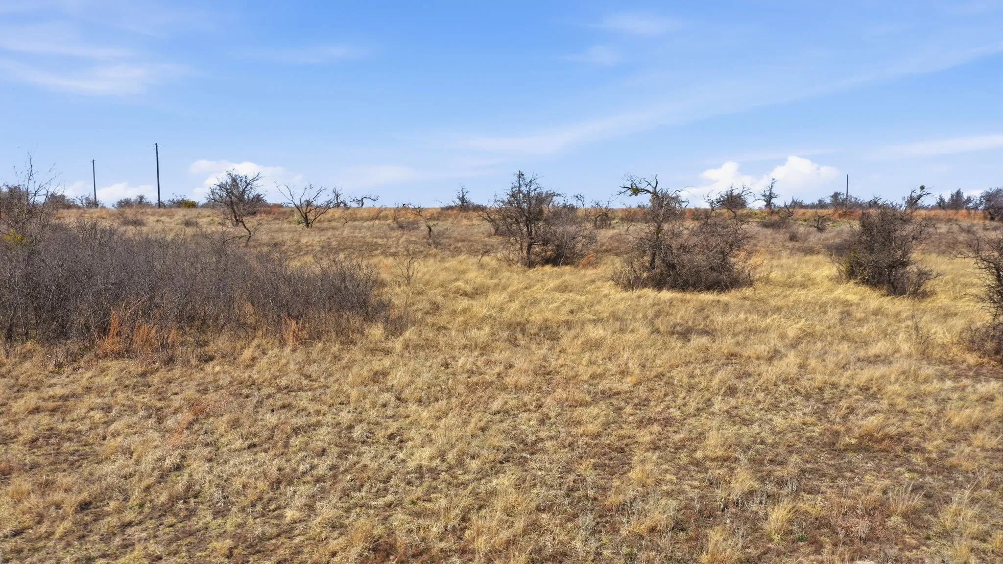 Unimproved Land For Sale in Comanche County , Lot 44 County Road 266, Gustine, Texas 76455, 0, 0, Garage spaces, 0 Sqft, built in 0, mls#21190024, Real Estate Agent in Gustine, Homes For Sale in Comanche county, Homes For Sale in Gustine, Realtor in Gustine Texas, Real Estate Brokerage Independent Realty Texas, Luminita Cordes Realtor