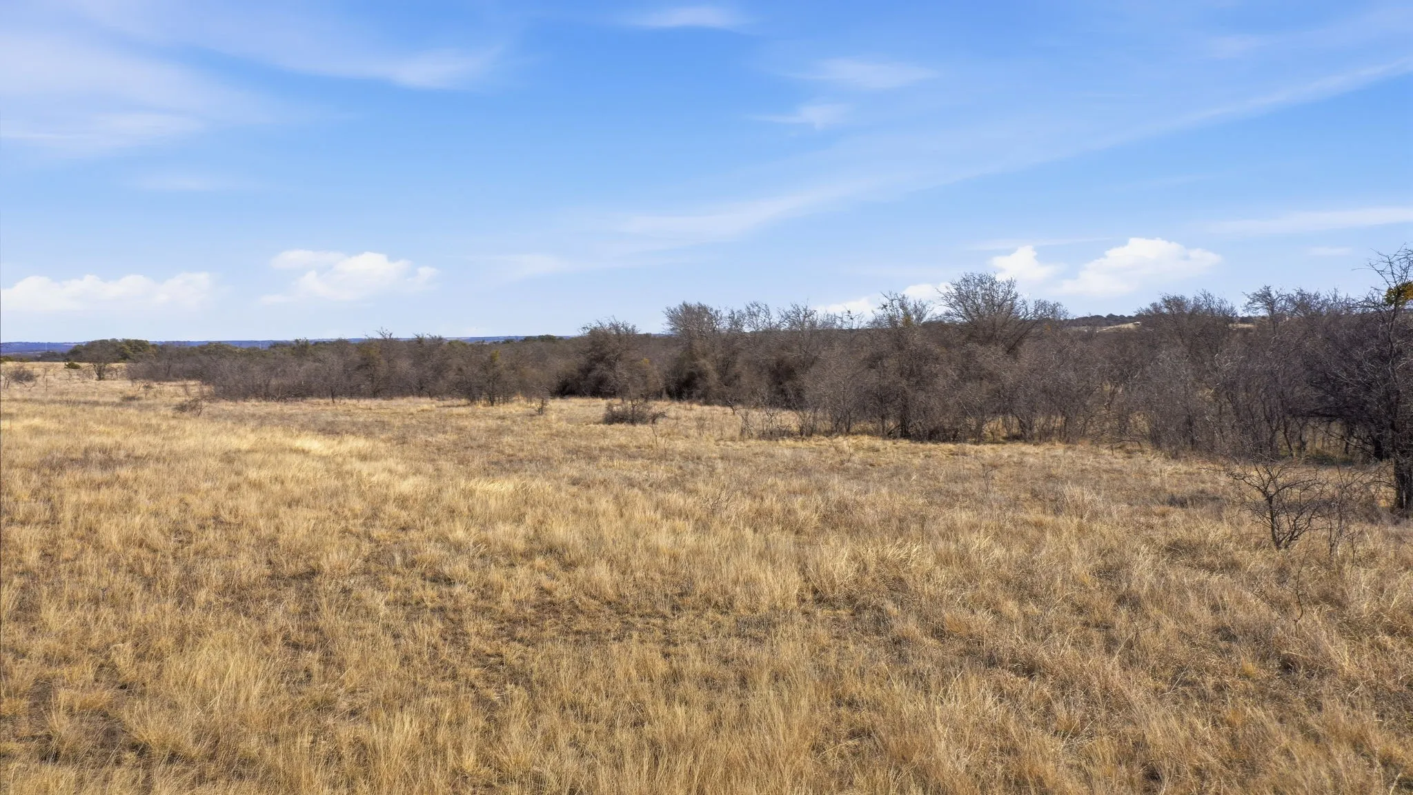Unimproved Land For Sale in Comanche County , Lot 44 County Road 266, Gustine, Texas 76455, 0, 0, Garage spaces, 0 Sqft, built in 0, mls#21190024, Real Estate Agent in Gustine, Homes For Sale in Comanche county, Homes For Sale in Gustine, Realtor in Gustine Texas, Real Estate Brokerage Independent Realty Texas, Luminita Cordes Realtor