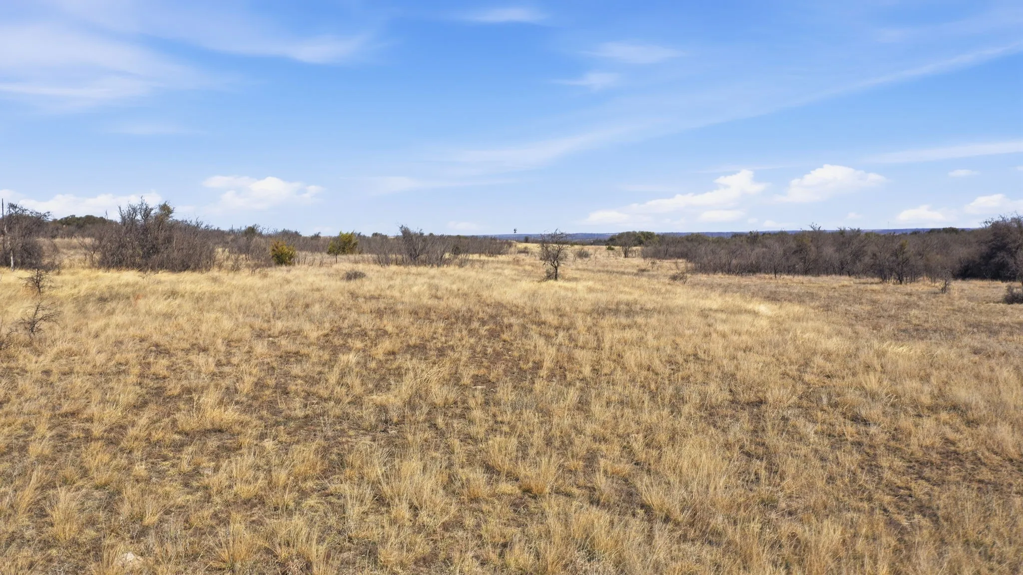 Unimproved Land For Sale in Comanche County , Lot 44 County Road 266, Gustine, Texas 76455, 0, 0, Garage spaces, 0 Sqft, built in 0, mls#21190024, Real Estate Agent in Gustine, Homes For Sale in Comanche county, Homes For Sale in Gustine, Realtor in Gustine Texas, Real Estate Brokerage Independent Realty Texas, Luminita Cordes Realtor