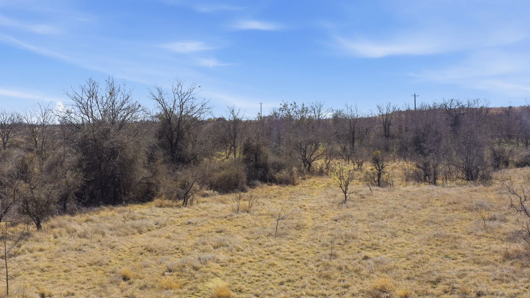 Unimproved Land For Sale in Comanche County , Lot 44 County Road 266, Gustine, Texas 76455, 0, 0, Garage spaces, 0 Sqft, built in 0, mls#21190024, Real Estate Agent in Gustine, Homes For Sale in Comanche county, Homes For Sale in Gustine, Realtor in Gustine Texas, Real Estate Brokerage Independent Realty Texas, Luminita Cordes Realtor