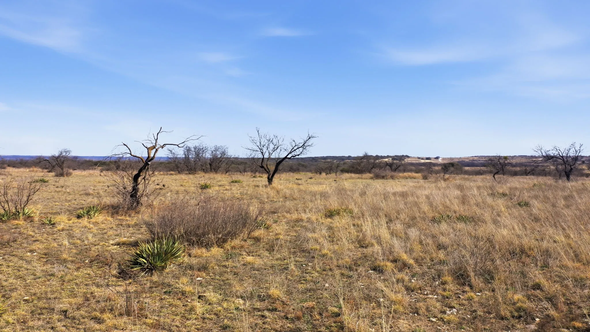 Unimproved Land For Sale in Comanche County , Lot 44 County Road 266, Gustine, Texas 76455, 0, 0, Garage spaces, 0 Sqft, built in 0, mls#21190024, Real Estate Agent in Gustine, Homes For Sale in Comanche county, Homes For Sale in Gustine, Realtor in Gustine Texas, Real Estate Brokerage Independent Realty Texas, Luminita Cordes Realtor