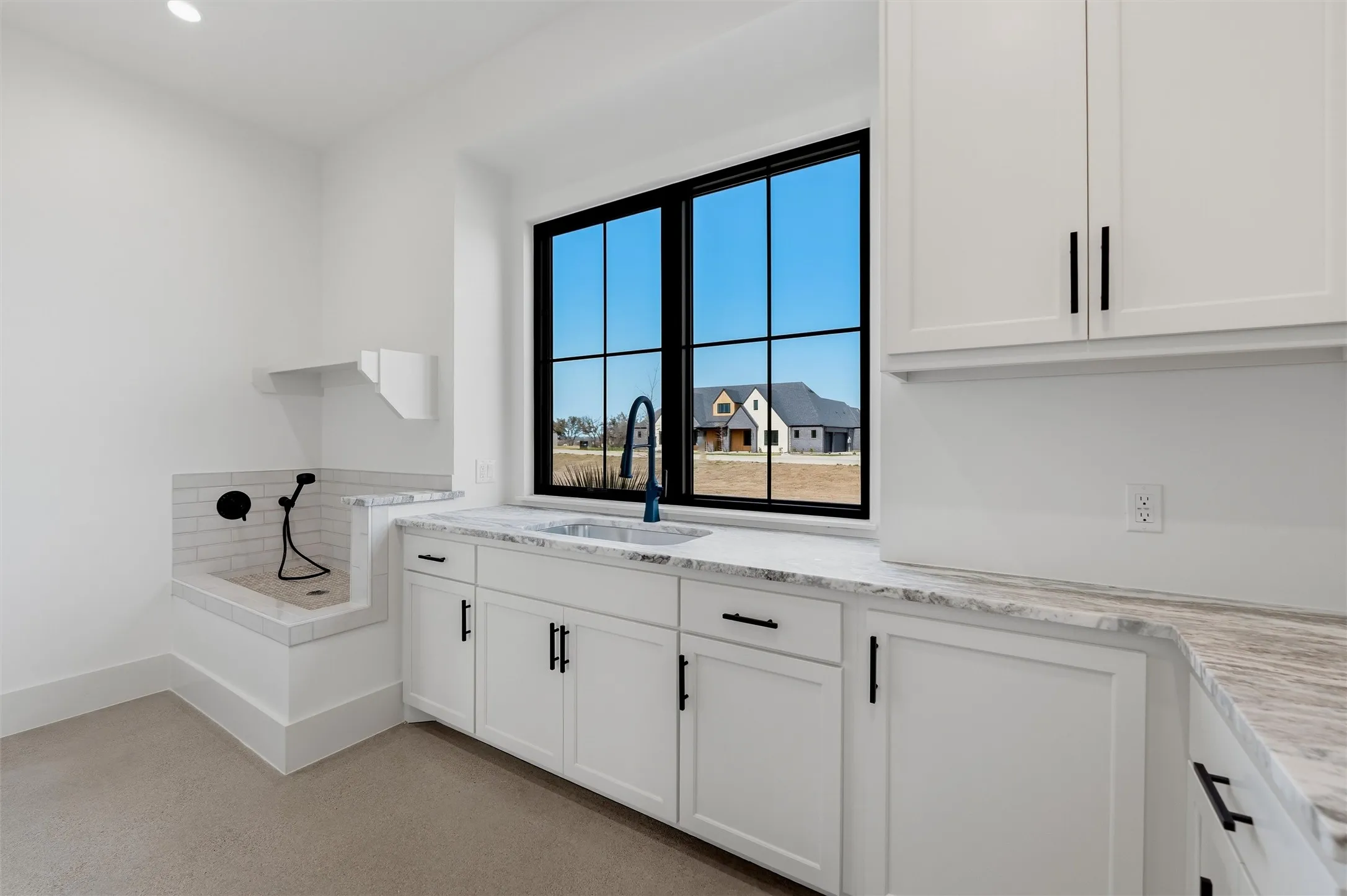 Laundry area with dog wash and sink
