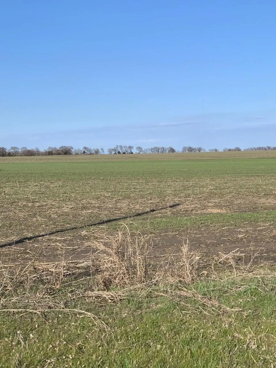 Ranch For Sale in Grayson County , 0000 Airport Road, Tioga, Texas 76271, 0, 0, Garage spaces, 0 Sqft, built in 0, Price $995,000, mls#21190105, Real Estate Agent in Tioga, Homes For Sale in Grayson county, Homes For Sale in Tioga, Realtor in Tioga Texas, Real Estate Brokerage Independent Realty Texas, Luminita Cordes Realtor