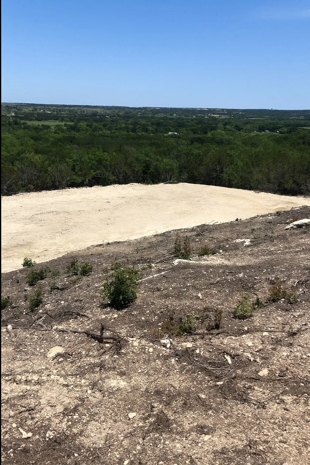The perfect spot has been cleared for homesite