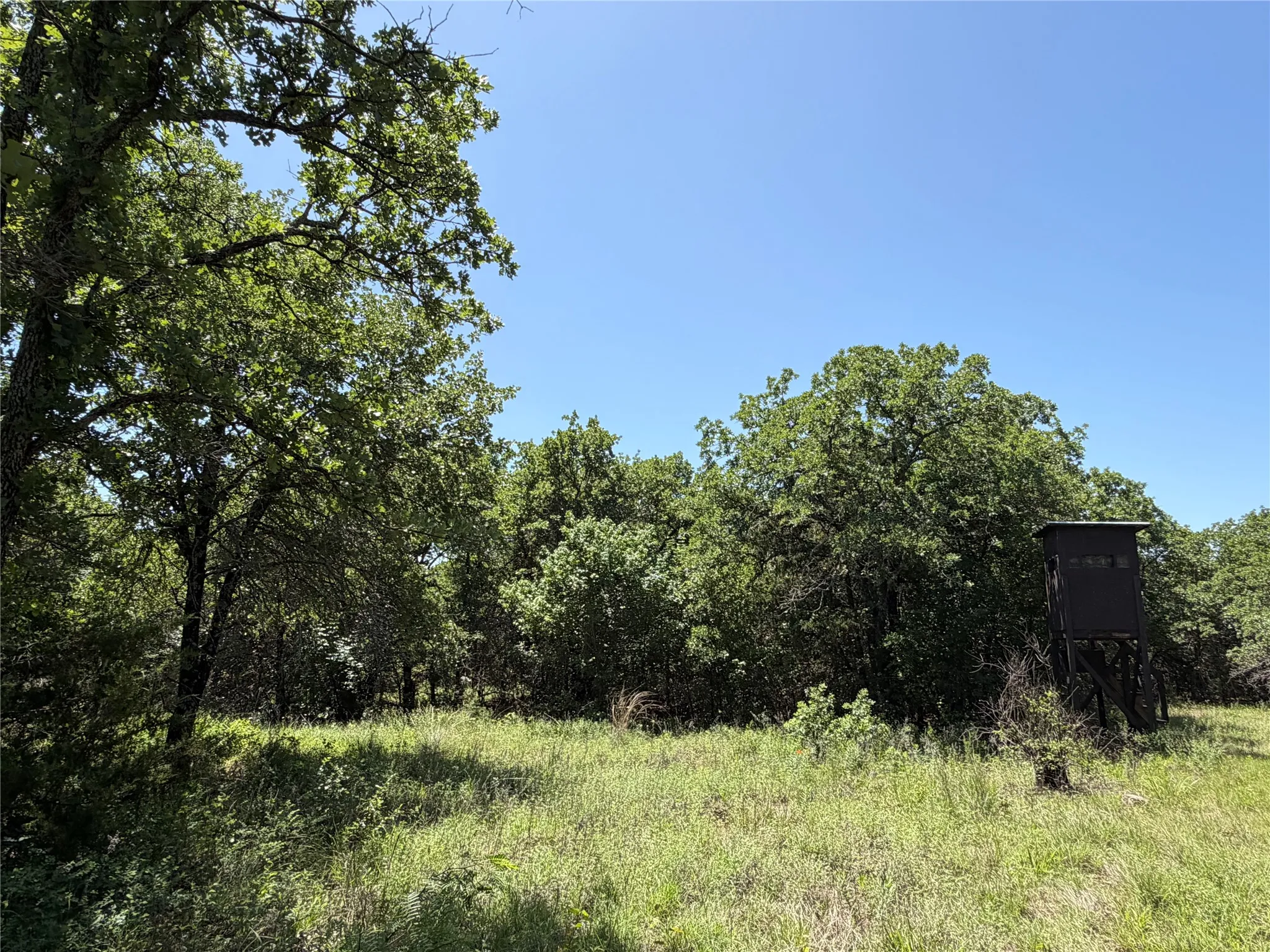 Unimproved Land For Sale in Montague County , 230 Keys Road, Sunset, Texas 76270, 0, 0, Garage spaces, 0 Sqft, built in 0, Price $675,000, mls#21190863, Real Estate Agent in Sunset, Homes For Sale in Montague county, Homes For Sale in Sunset, Realtor in Sunset Texas, Real Estate Brokerage Independent Realty Texas, Luminita Cordes Realtor