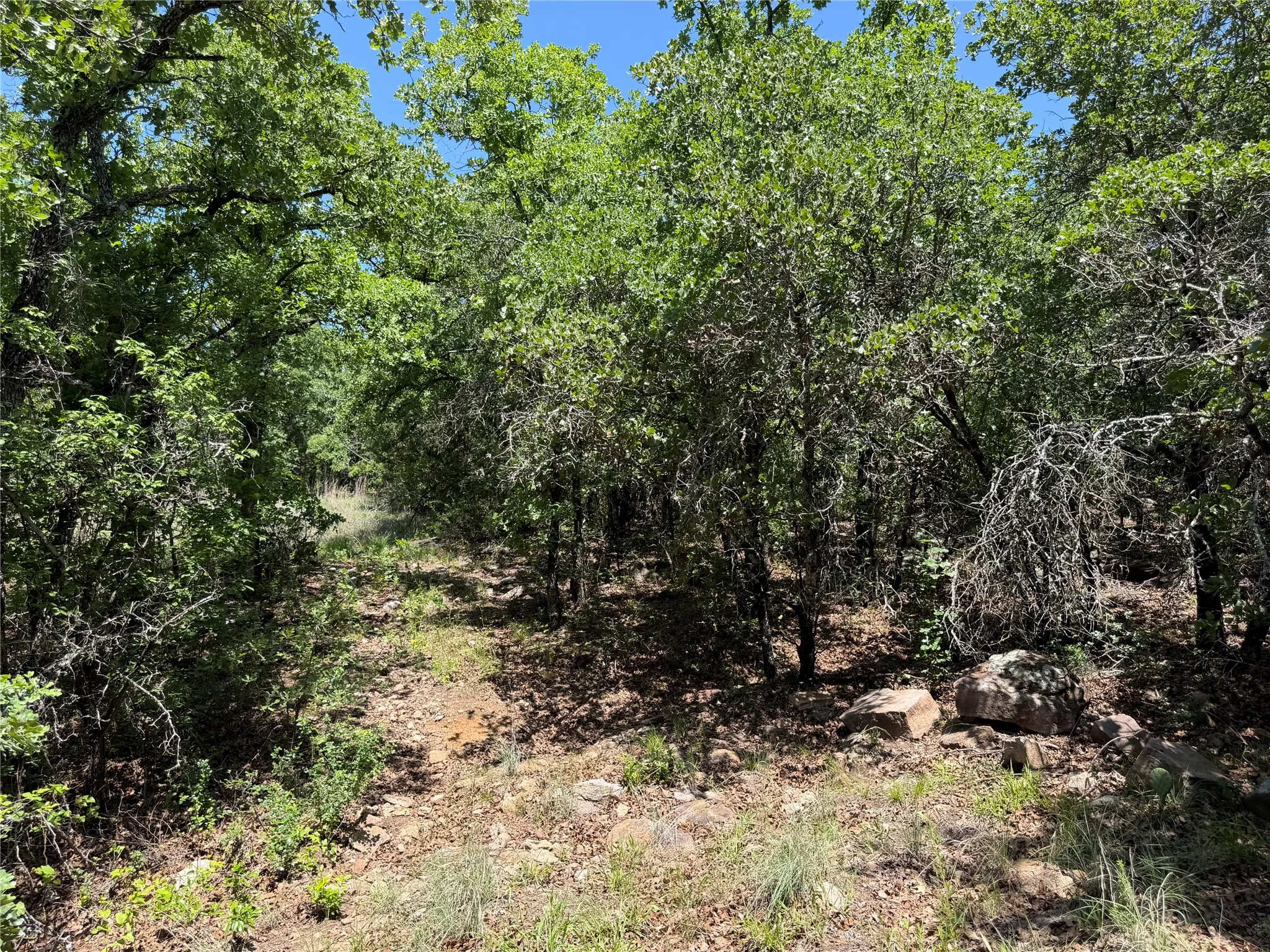 Unimproved Land For Sale in Montague County , 230 Keys Road, Sunset, Texas 76270, 0, 0, Garage spaces, 0 Sqft, built in 0, Price $675,000, mls#21190863, Real Estate Agent in Sunset, Homes For Sale in Montague county, Homes For Sale in Sunset, Realtor in Sunset Texas, Real Estate Brokerage Independent Realty Texas, Luminita Cordes Realtor