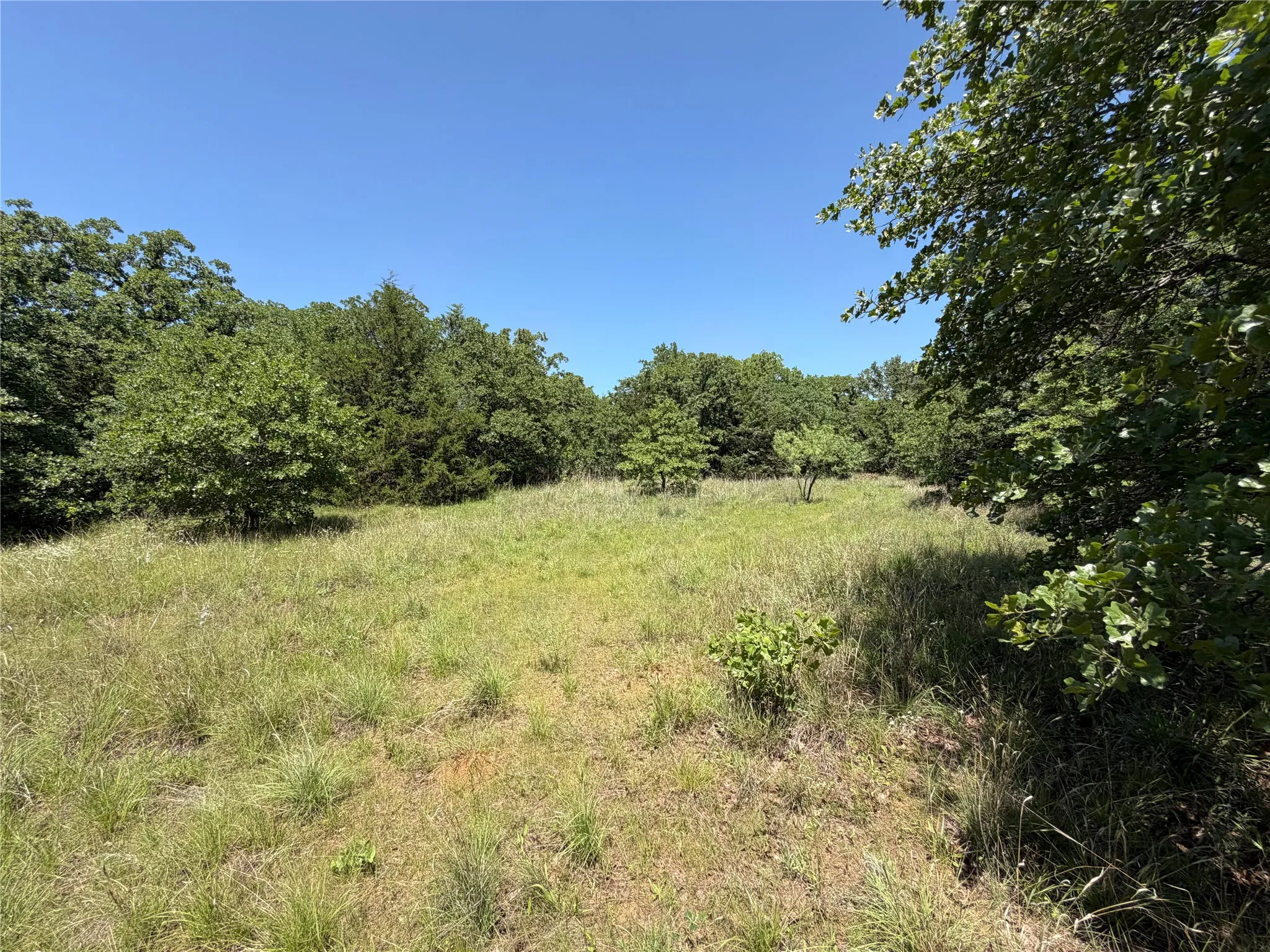 Unimproved Land For Sale in Montague County , 230 Keys Road, Sunset, Texas 76270, 0, 0, Garage spaces, 0 Sqft, built in 0, Price $675,000, mls#21190863, Real Estate Agent in Sunset, Homes For Sale in Montague county, Homes For Sale in Sunset, Realtor in Sunset Texas, Real Estate Brokerage Independent Realty Texas, Luminita Cordes Realtor