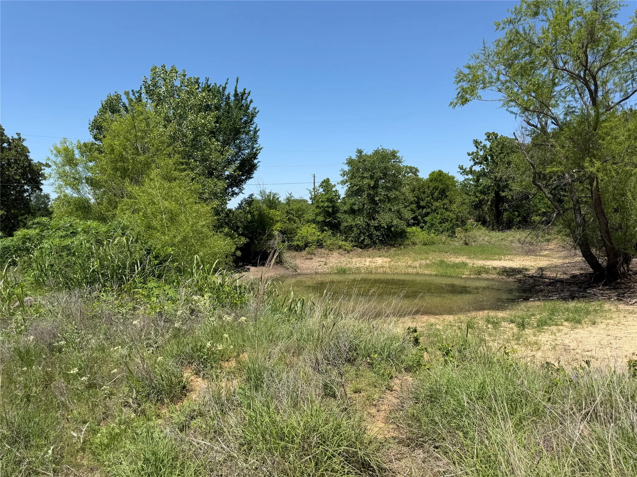 Unimproved Land For Sale in Montague County , 230 Keys Road, Sunset, Texas 76270, 0, 0, Garage spaces, 0 Sqft, built in 0, Price $675,000, mls#21190863, Real Estate Agent in Sunset, Homes For Sale in Montague county, Homes For Sale in Sunset, Realtor in Sunset Texas, Real Estate Brokerage Independent Realty Texas, Luminita Cordes Realtor