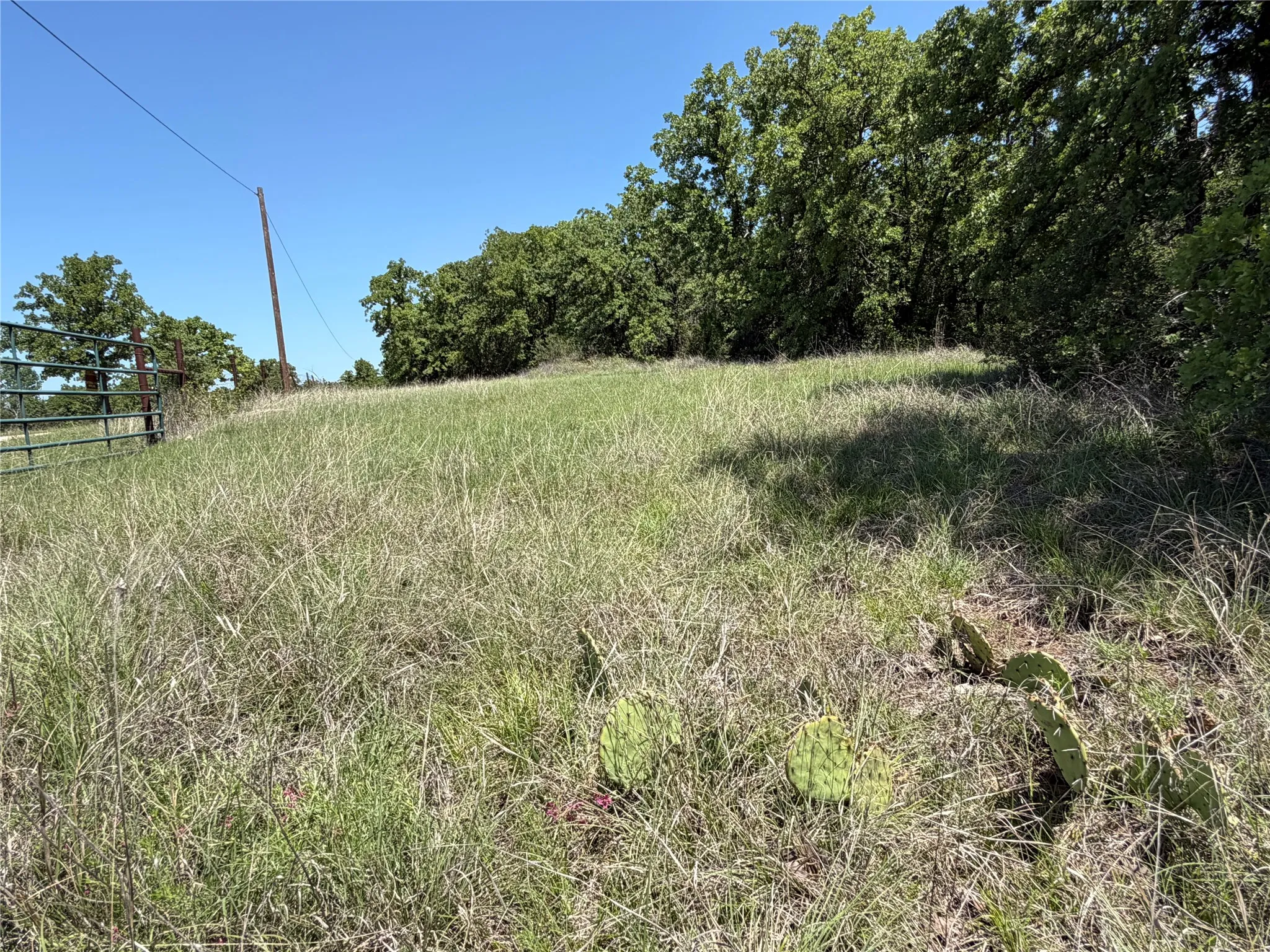 Unimproved Land For Sale in Montague County , 230 Keys Road, Sunset, Texas 76270, 0, 0, Garage spaces, 0 Sqft, built in 0, Price $675,000, mls#21190863, Real Estate Agent in Sunset, Homes For Sale in Montague county, Homes For Sale in Sunset, Realtor in Sunset Texas, Real Estate Brokerage Independent Realty Texas, Luminita Cordes Realtor