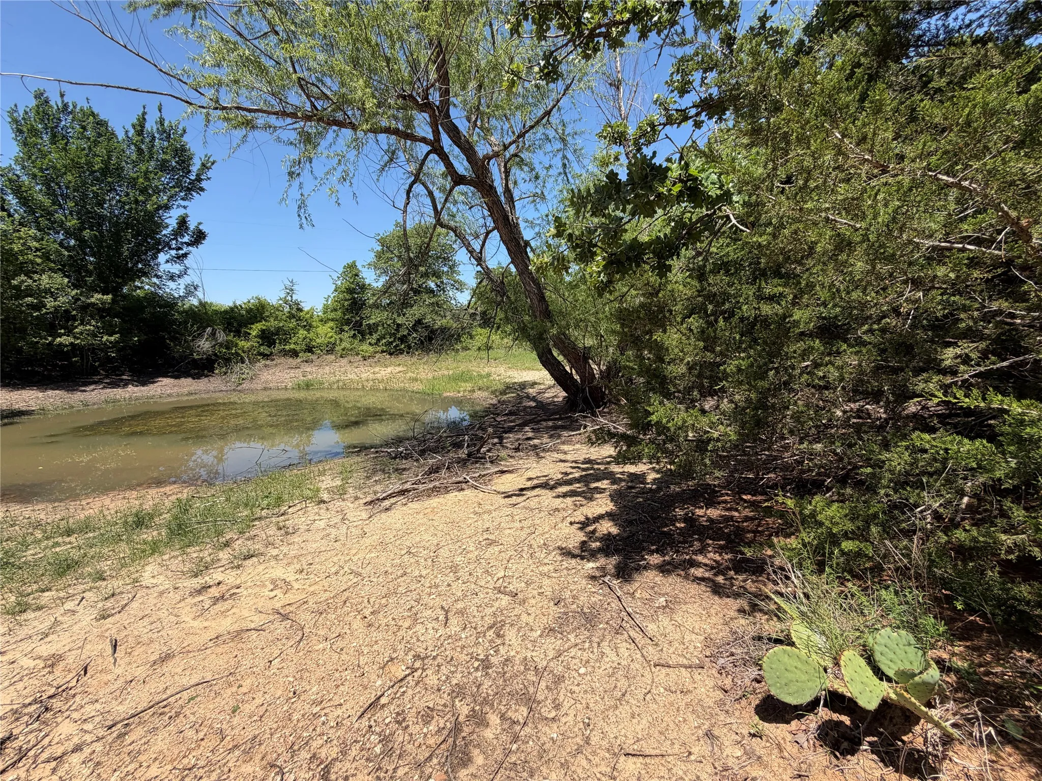 Unimproved Land For Sale in Montague County , 230 Keys Road, Sunset, Texas 76270, 0, 0, Garage spaces, 0 Sqft, built in 0, Price $675,000, mls#21190863, Real Estate Agent in Sunset, Homes For Sale in Montague county, Homes For Sale in Sunset, Realtor in Sunset Texas, Real Estate Brokerage Independent Realty Texas, Luminita Cordes Realtor