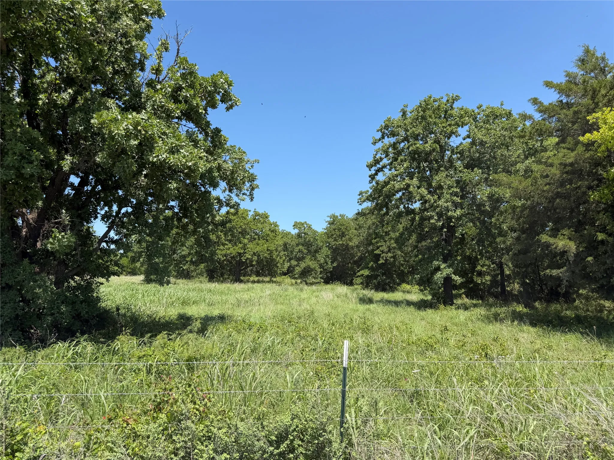 Unimproved Land For Sale in Montague County , 230 Keys Road, Sunset, Texas 76270, 0, 0, Garage spaces, 0 Sqft, built in 0, Price $675,000, mls#21190863, Real Estate Agent in Sunset, Homes For Sale in Montague county, Homes For Sale in Sunset, Realtor in Sunset Texas, Real Estate Brokerage Independent Realty Texas, Luminita Cordes Realtor
