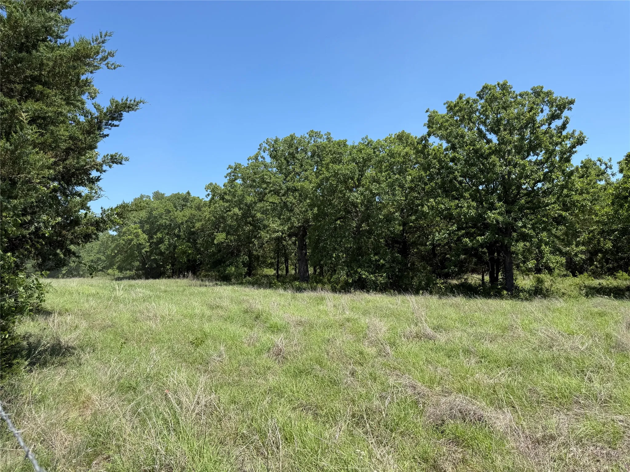 Unimproved Land For Sale in Montague County , 230 Keys Road, Sunset, Texas 76270, 0, 0, Garage spaces, 0 Sqft, built in 0, Price $675,000, mls#21190863, Real Estate Agent in Sunset, Homes For Sale in Montague county, Homes For Sale in Sunset, Realtor in Sunset Texas, Real Estate Brokerage Independent Realty Texas, Luminita Cordes Realtor
