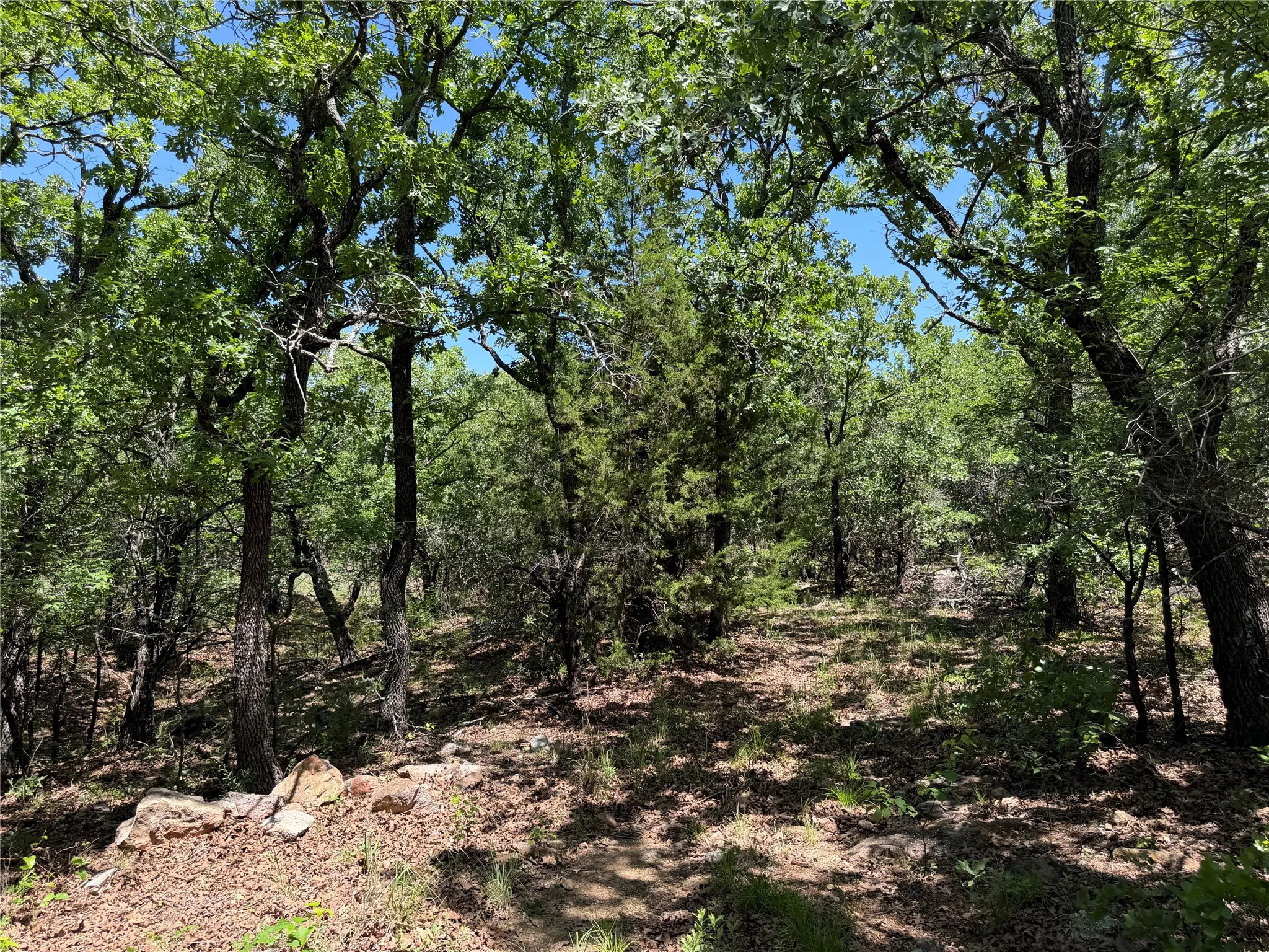 Unimproved Land For Sale in Montague County , 230 Keys Road, Sunset, Texas 76270, 0, 0, Garage spaces, 0 Sqft, built in 0, Price $675,000, mls#21190863, Real Estate Agent in Sunset, Homes For Sale in Montague county, Homes For Sale in Sunset, Realtor in Sunset Texas, Real Estate Brokerage Independent Realty Texas, Luminita Cordes Realtor