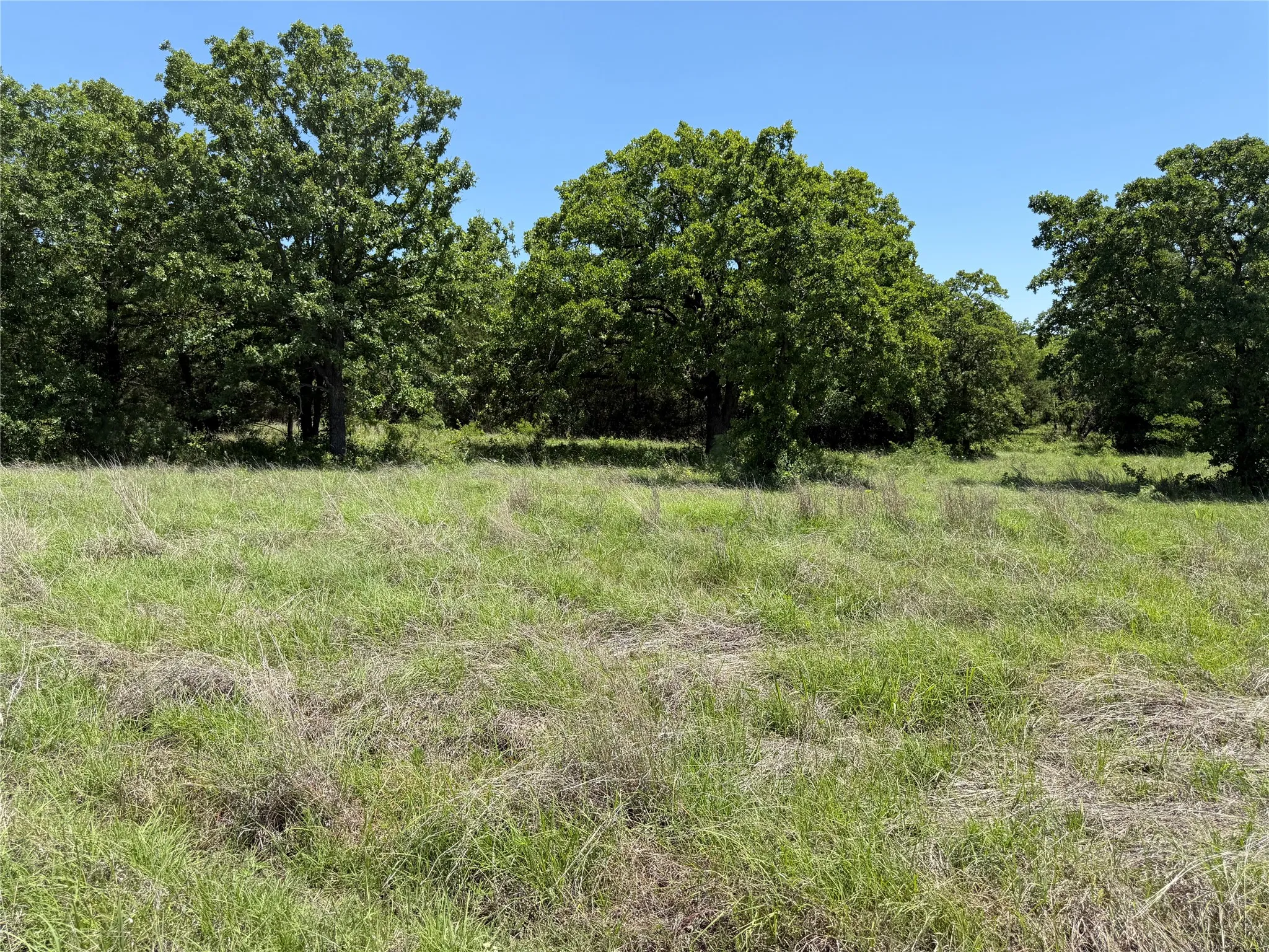 Unimproved Land For Sale in Montague County , 230 Keys Road, Sunset, Texas 76270, 0, 0, Garage spaces, 0 Sqft, built in 0, Price $675,000, mls#21190863, Real Estate Agent in Sunset, Homes For Sale in Montague county, Homes For Sale in Sunset, Realtor in Sunset Texas, Real Estate Brokerage Independent Realty Texas, Luminita Cordes Realtor
