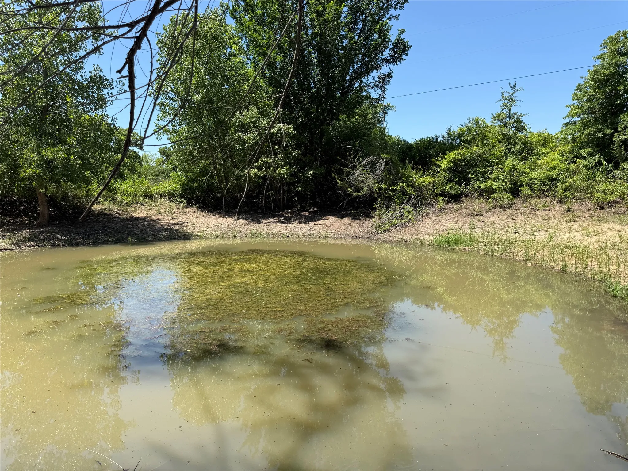 Unimproved Land For Sale in Montague County , 230 Keys Road, Sunset, Texas 76270, 0, 0, Garage spaces, 0 Sqft, built in 0, Price $675,000, mls#21190863, Real Estate Agent in Sunset, Homes For Sale in Montague county, Homes For Sale in Sunset, Realtor in Sunset Texas, Real Estate Brokerage Independent Realty Texas, Luminita Cordes Realtor